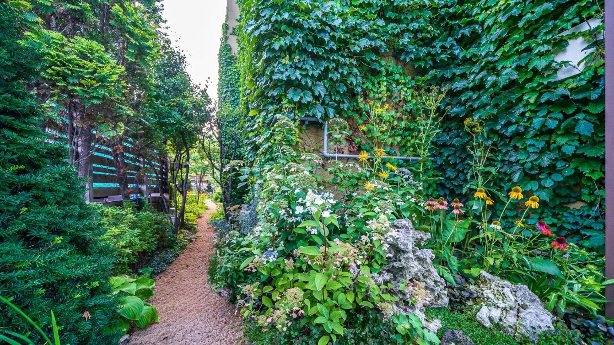 Garden in Pension Badawa