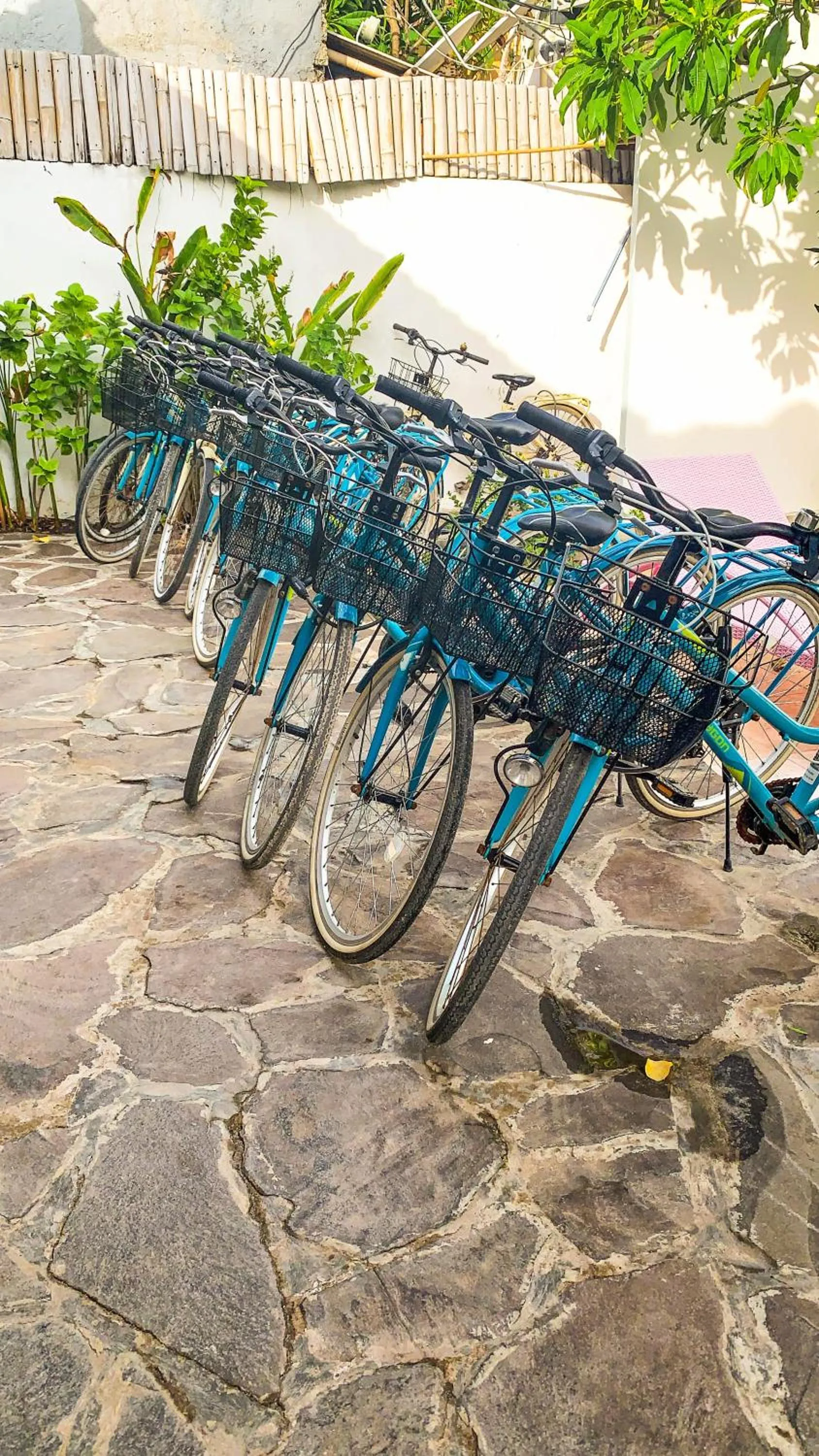 Cycling in Tír na nÓg Beachfront Resort