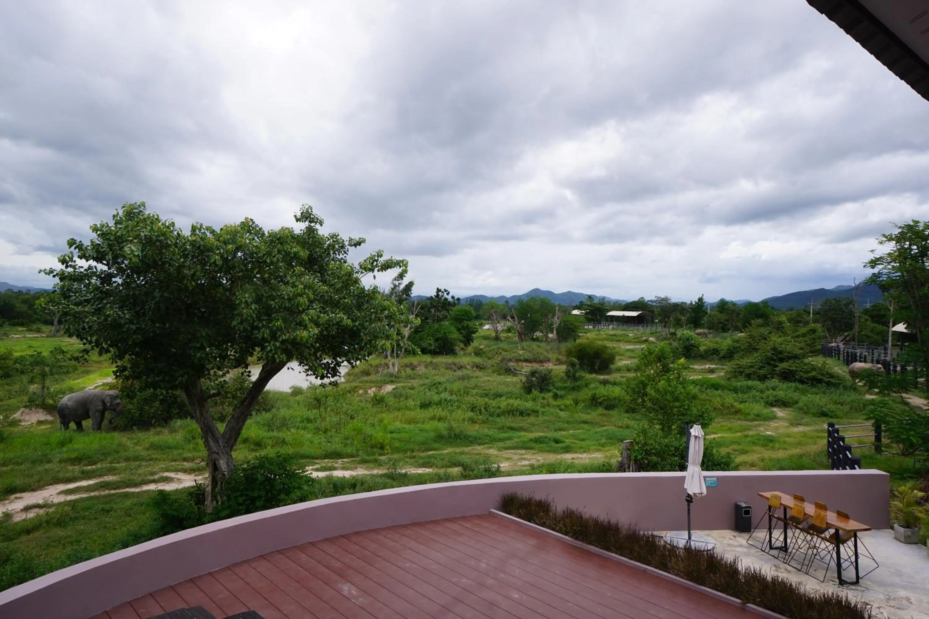Patio in I love phants Lodge