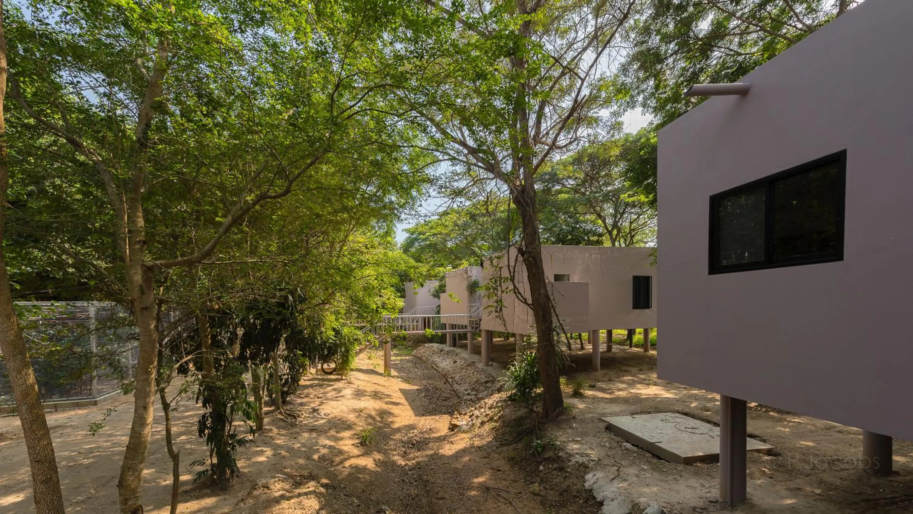 Garden view in I love phants Lodge