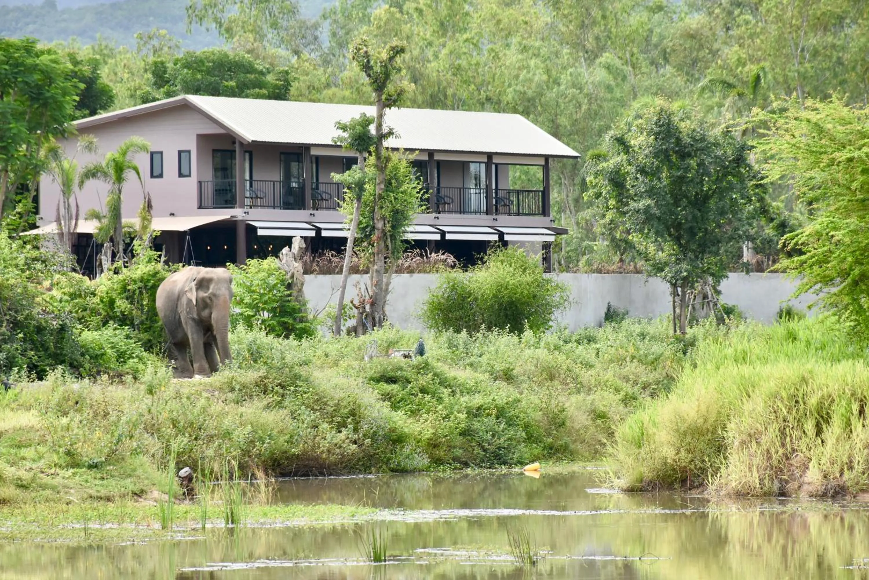 Restaurant/places to eat in I love phants Lodge