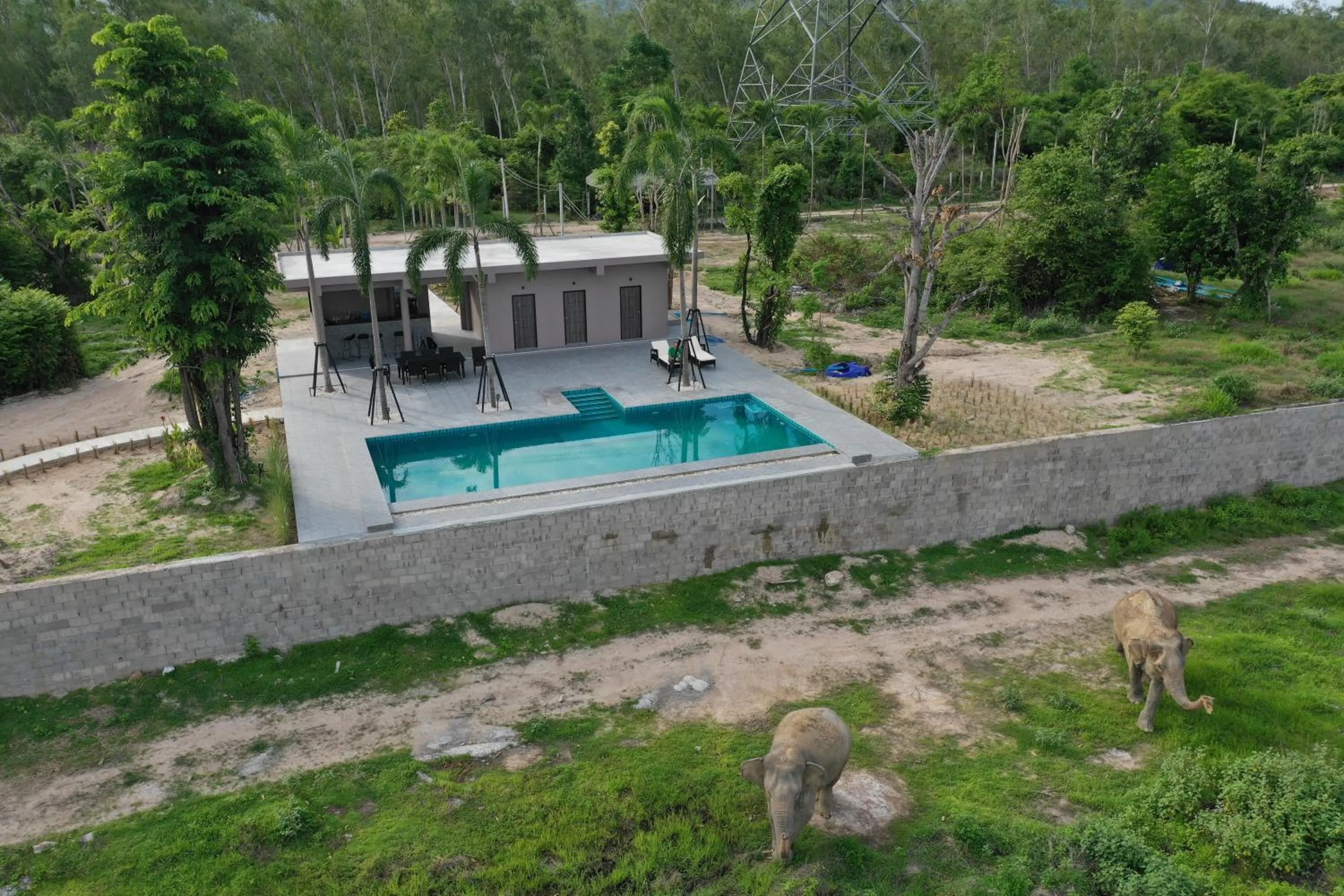 Swimming pool in I love phants Lodge