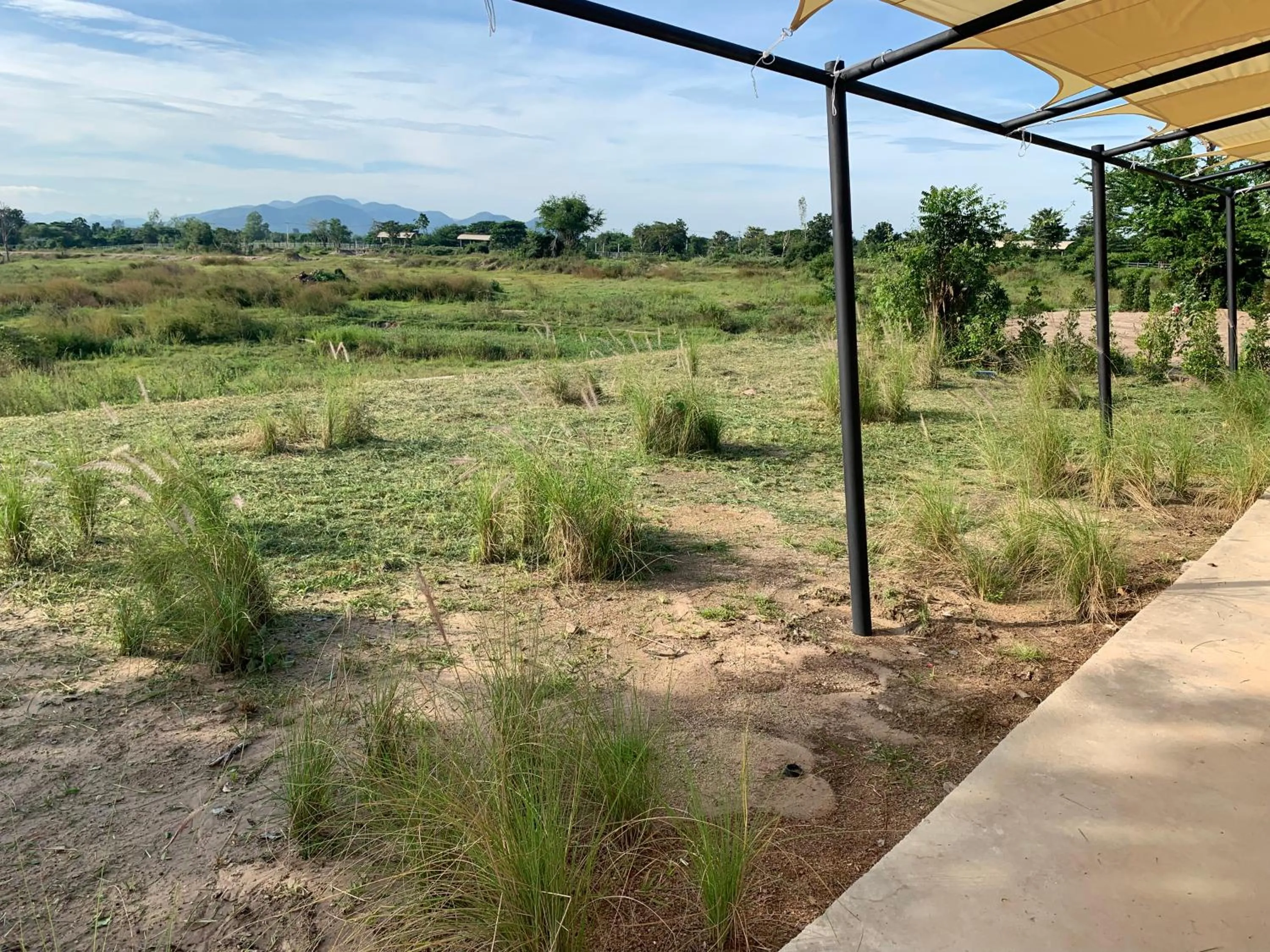 Garden in I love phants Lodge