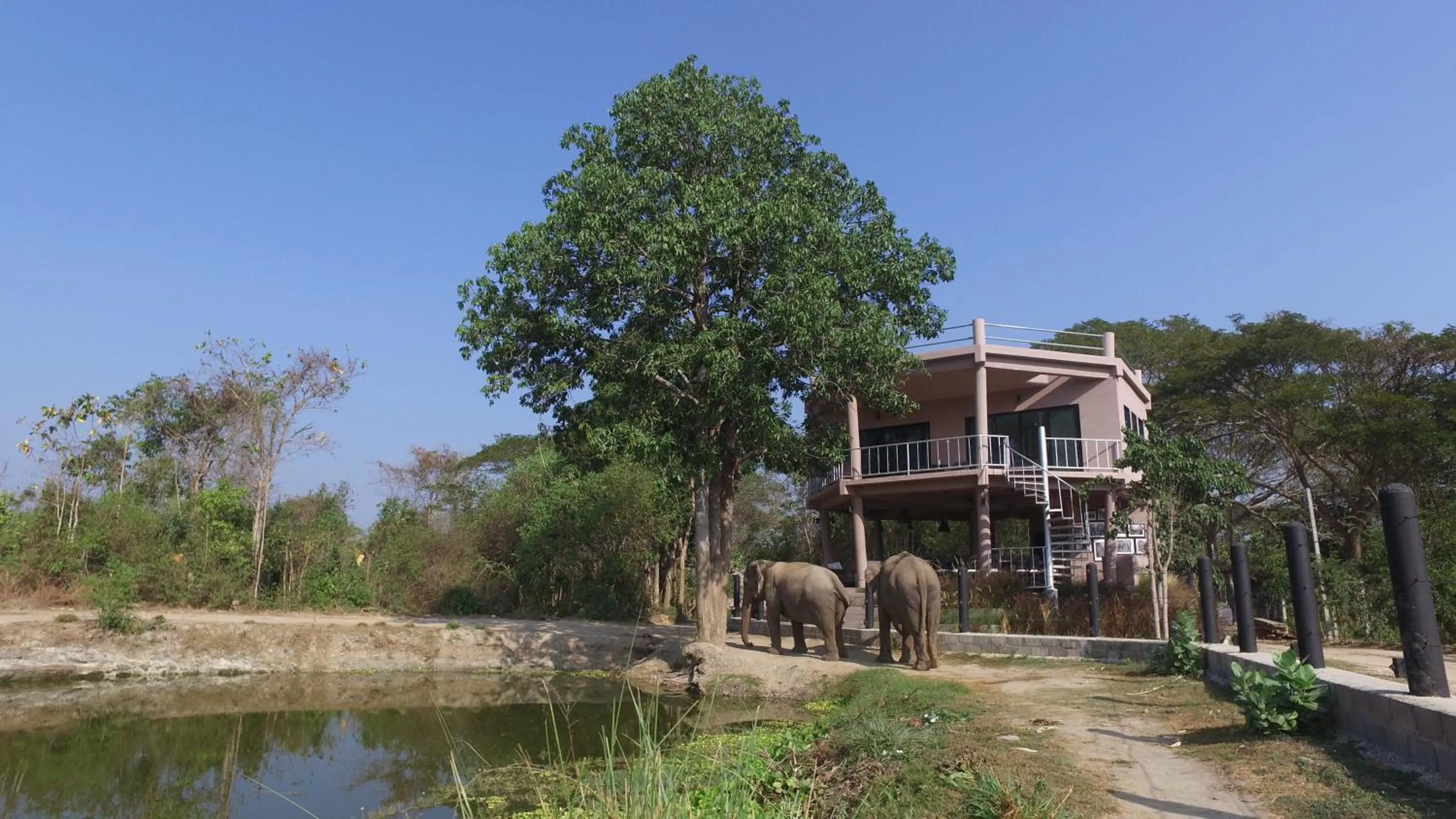Balcony/Terrace in I love phants Lodge