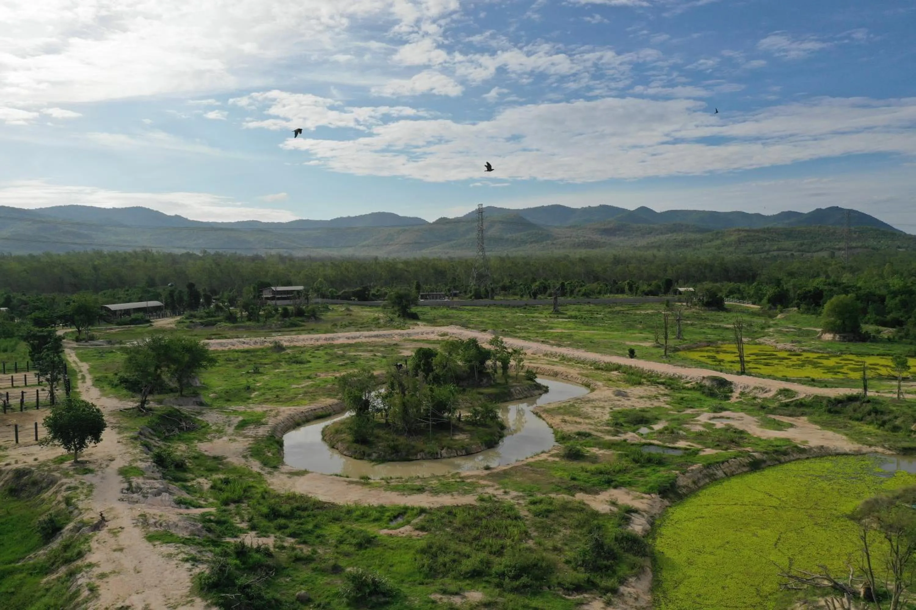 Property building in I love phants Lodge