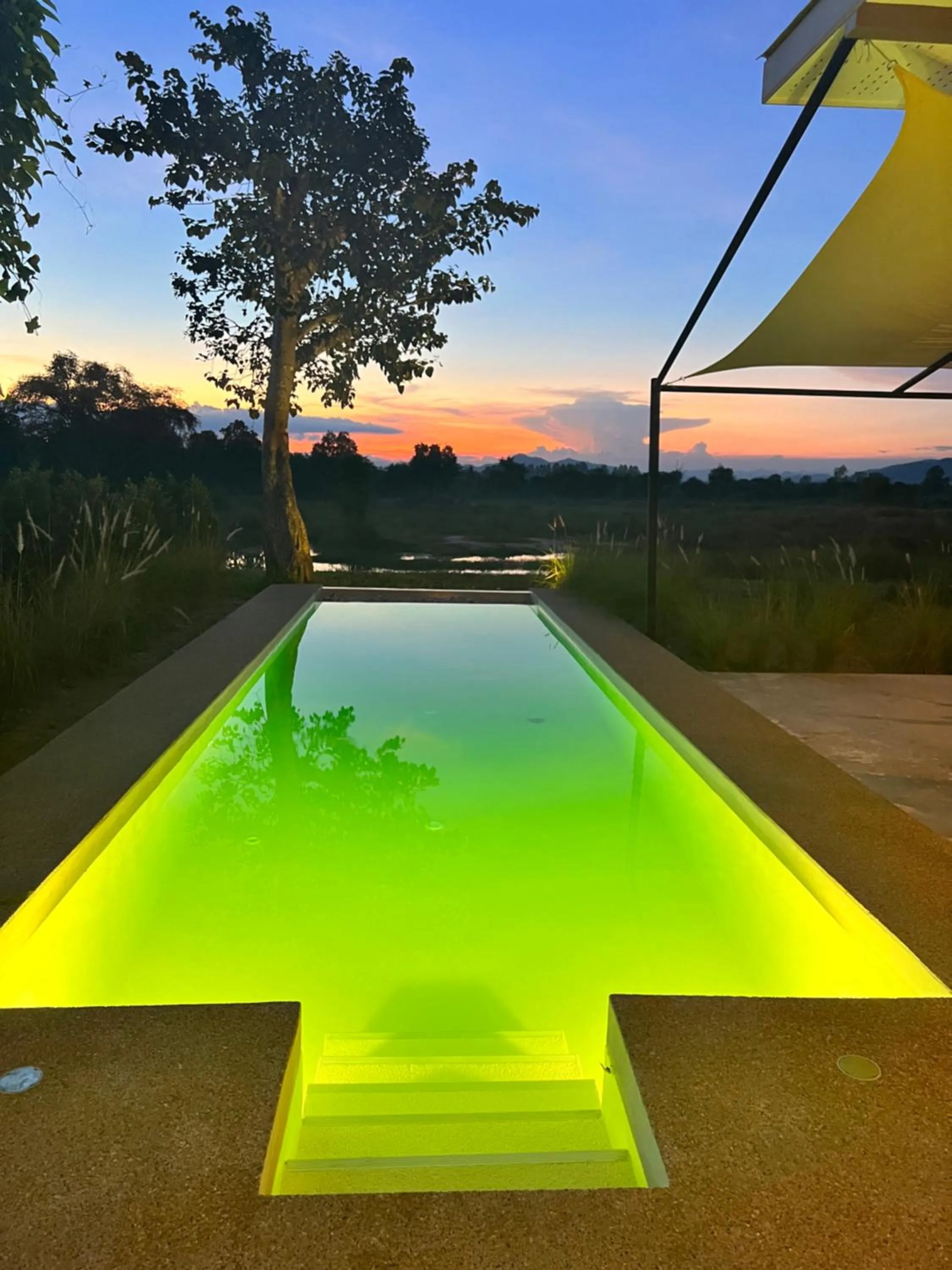 Swimming pool in I love phants Lodge