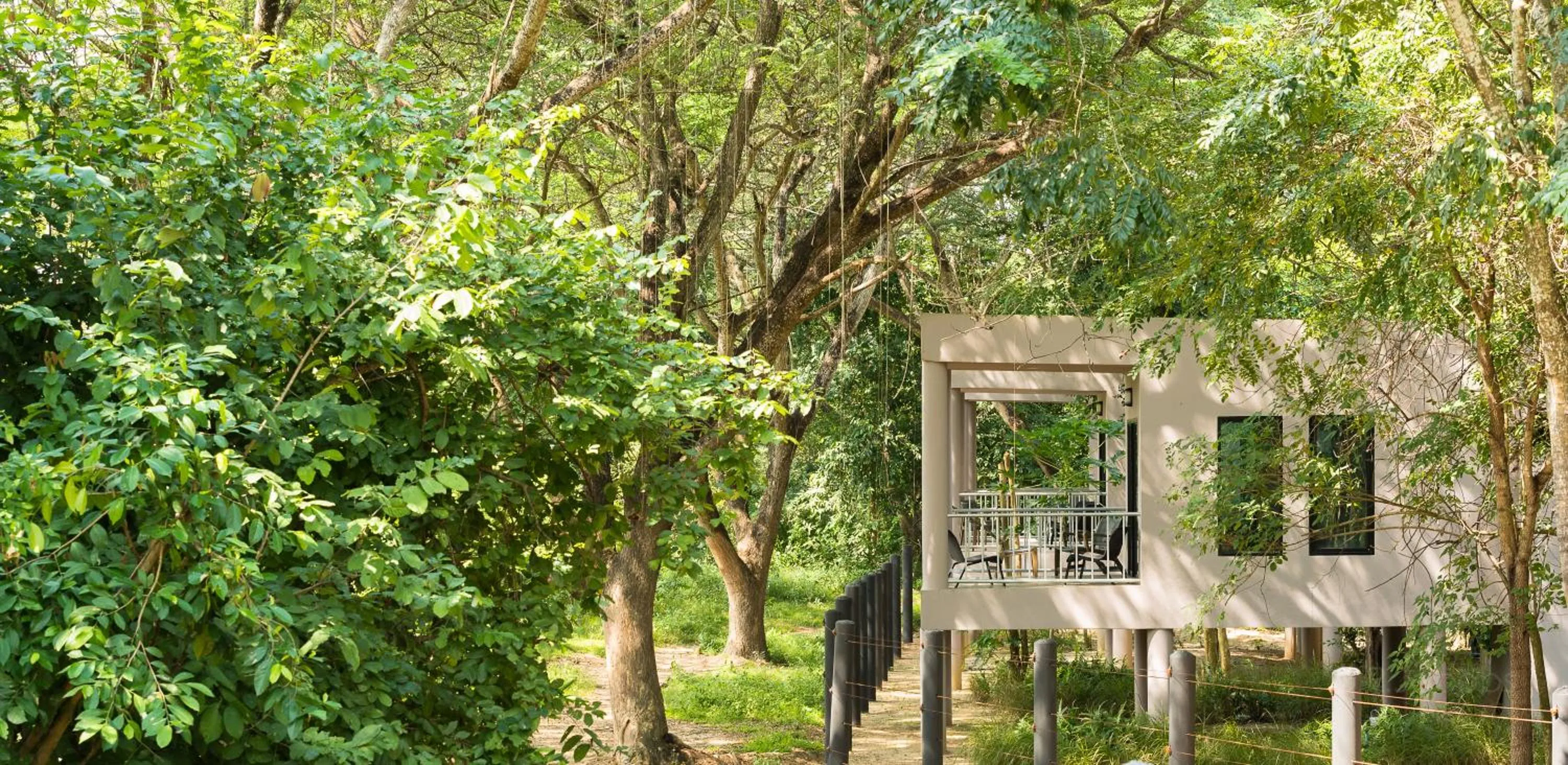 Garden in I love phants Lodge