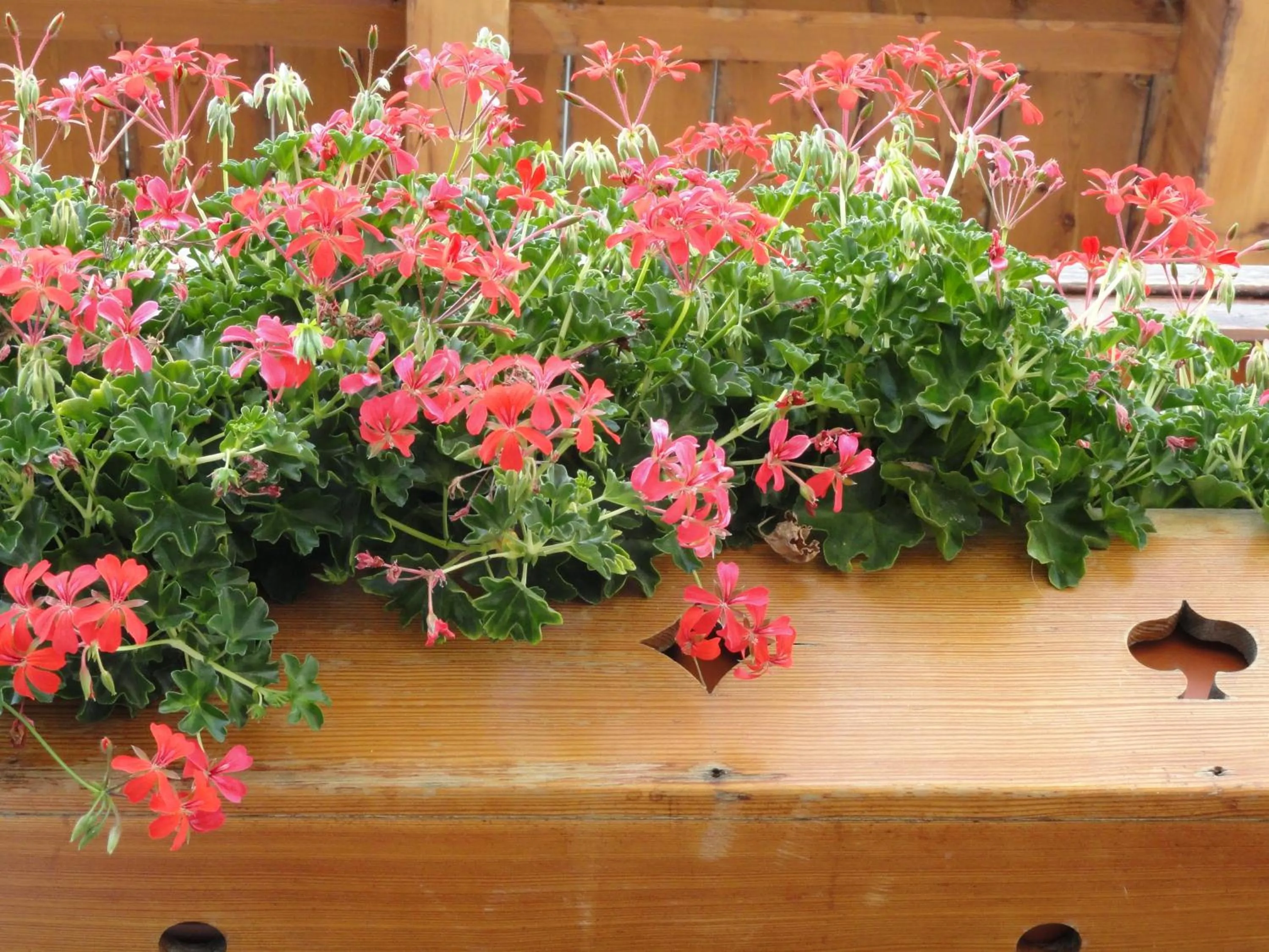 Property building in Hotel Le Clocher