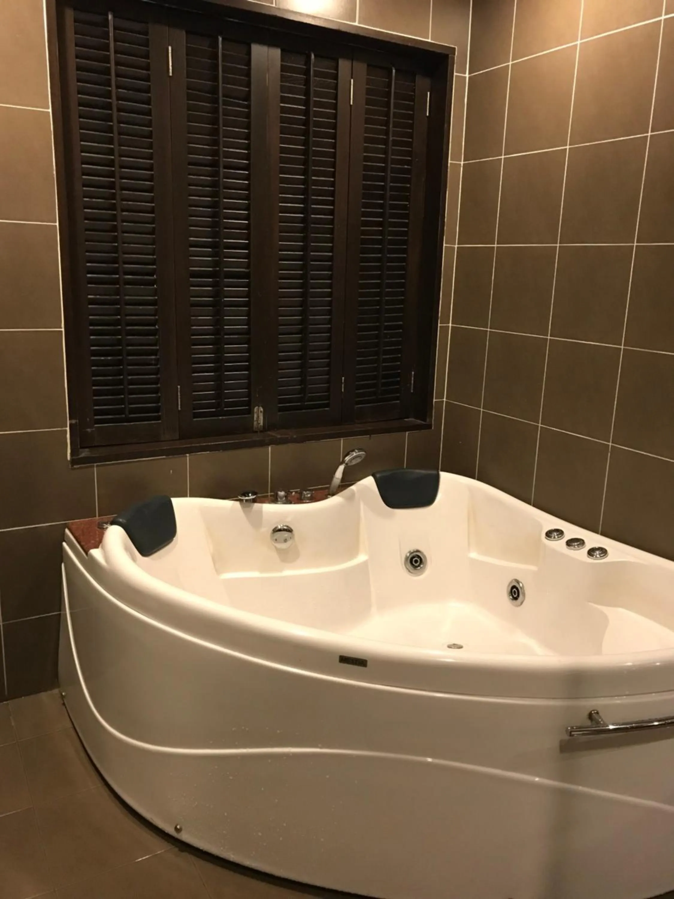 Swimming pool in Gold Coast Morib Mickey House