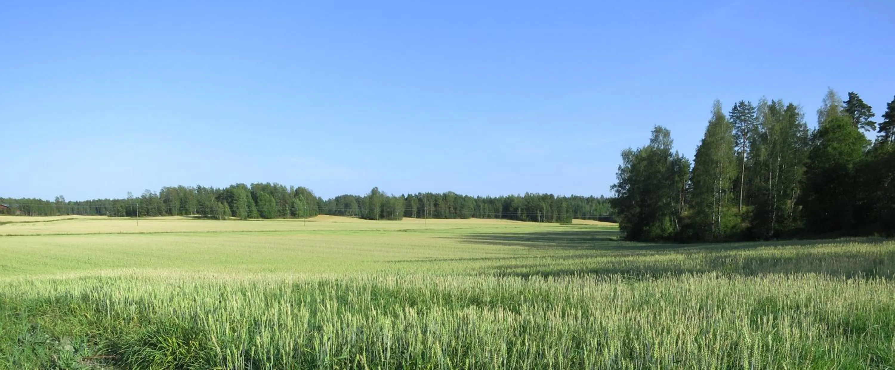 Natural landscape in Westerby Gård