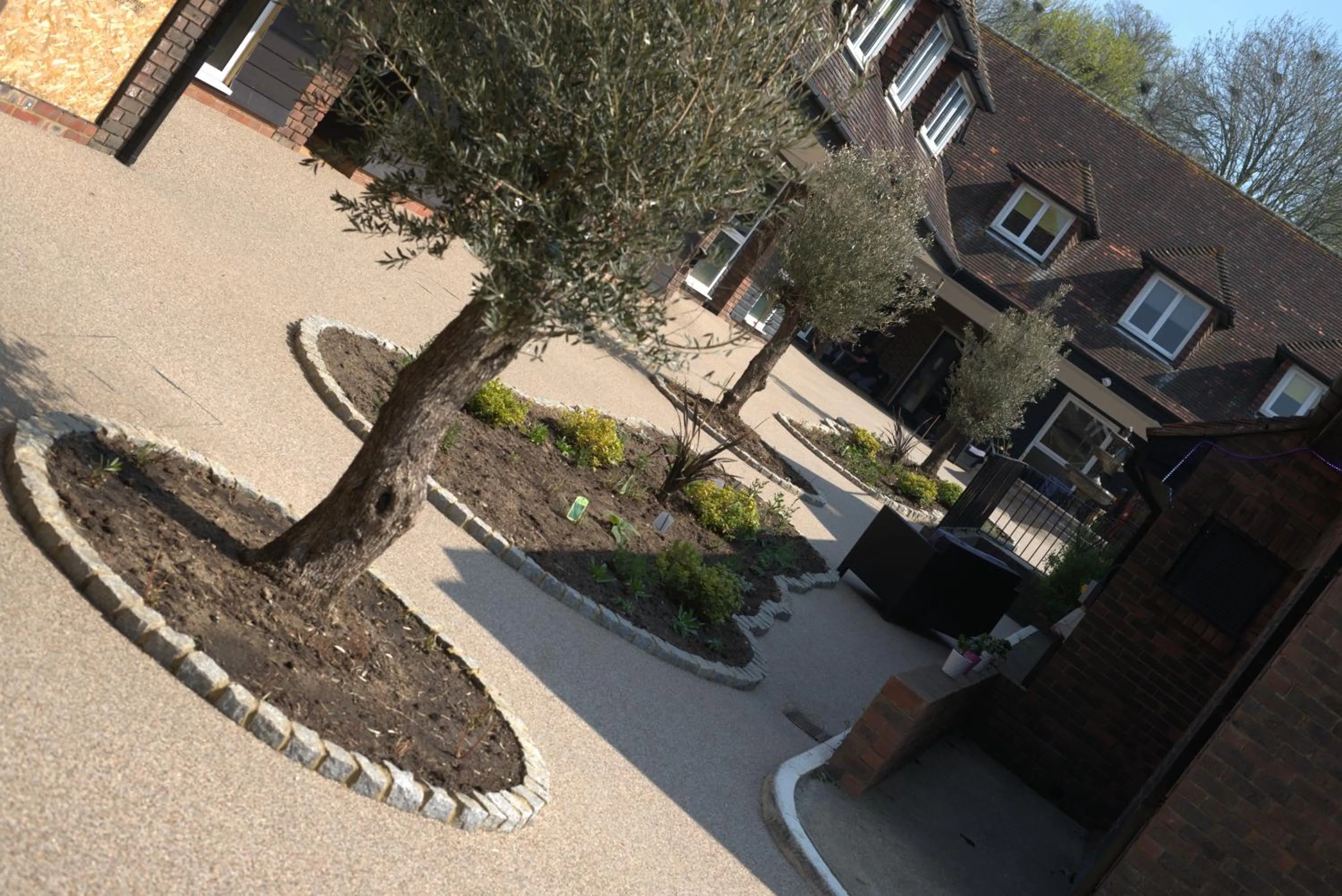 Garden in Winchelsea Lodge