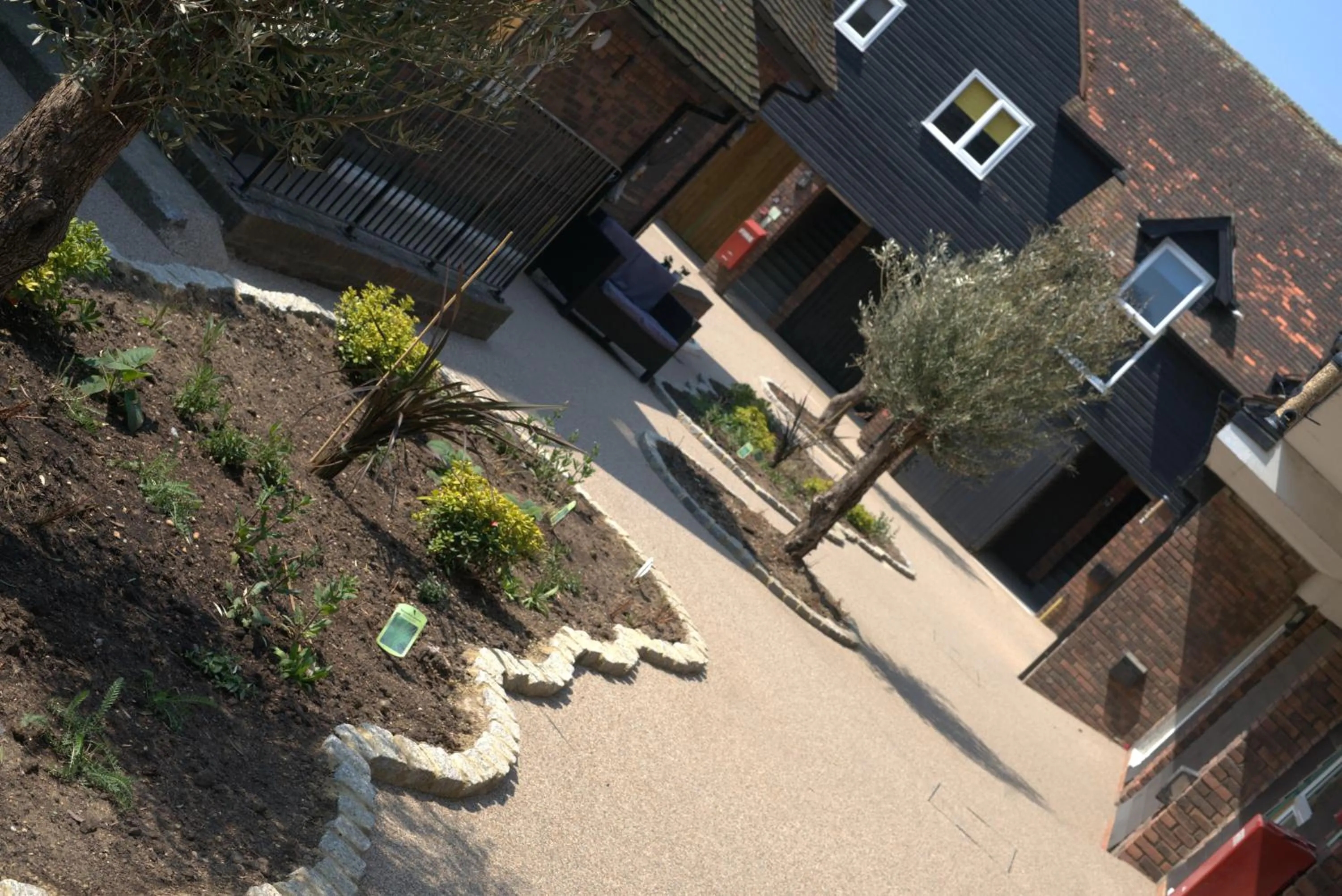 Garden in Winchelsea Lodge