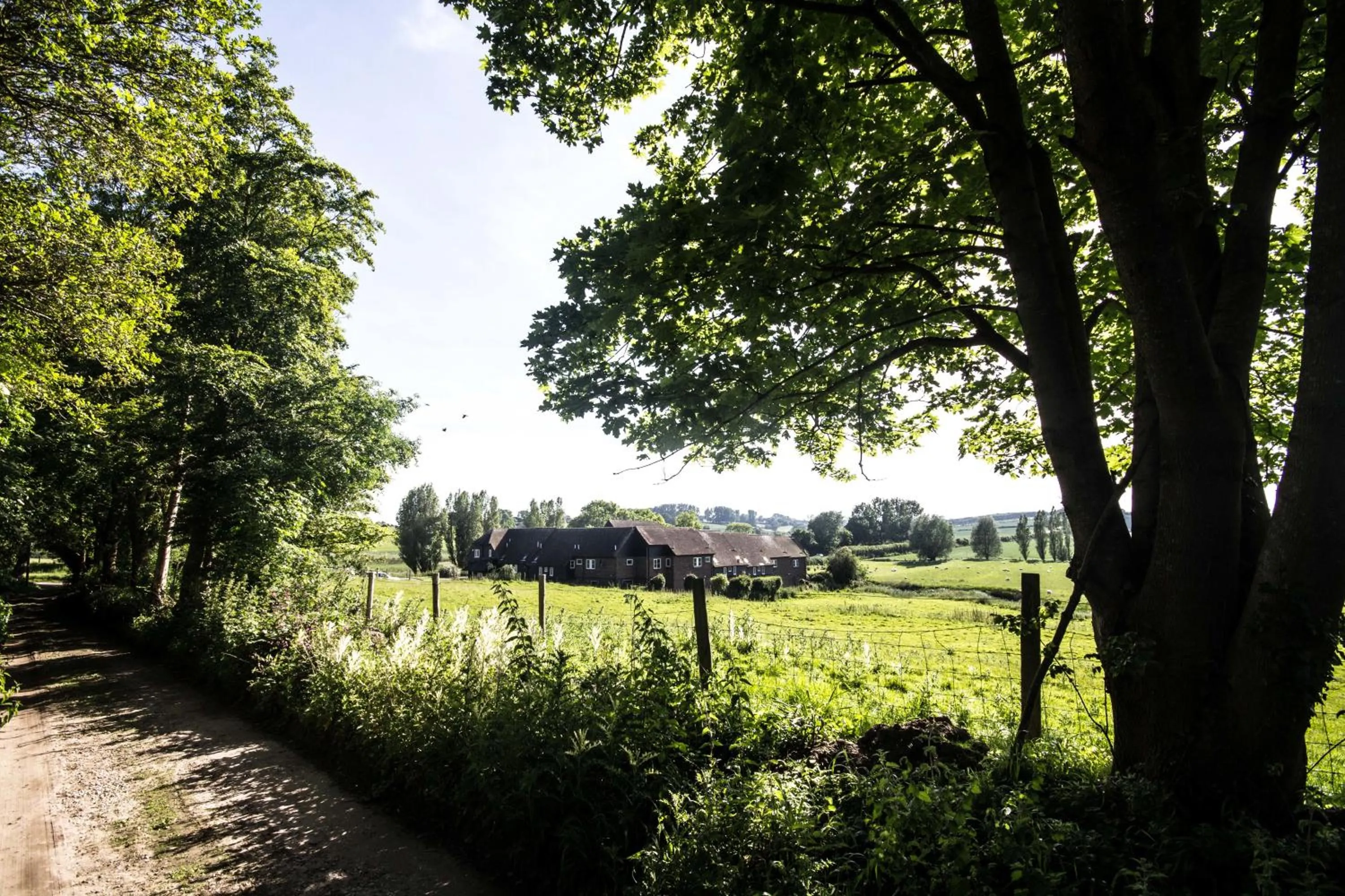 Day in Winchelsea Lodge