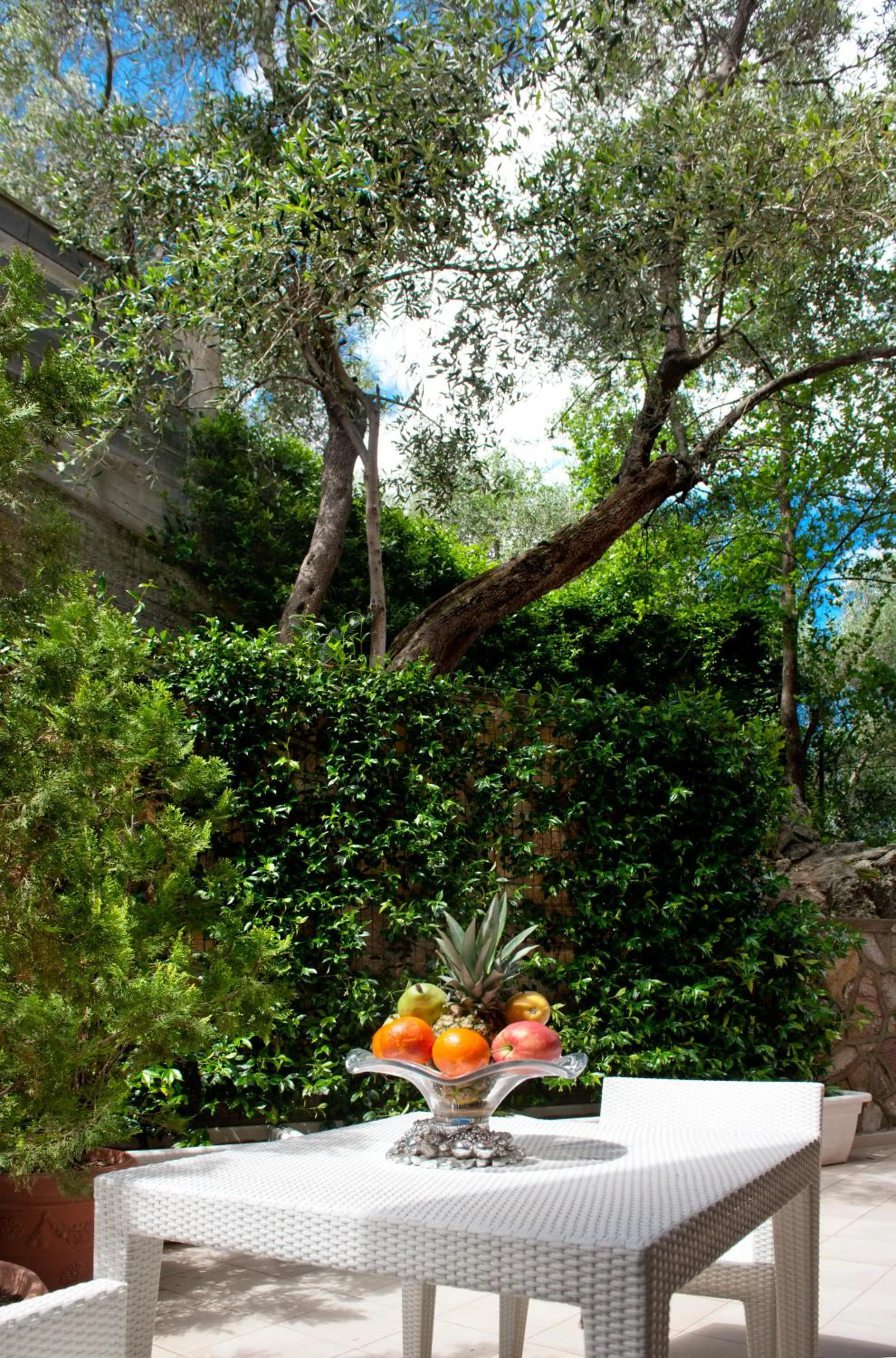 Garden in Europa Grand Hotel