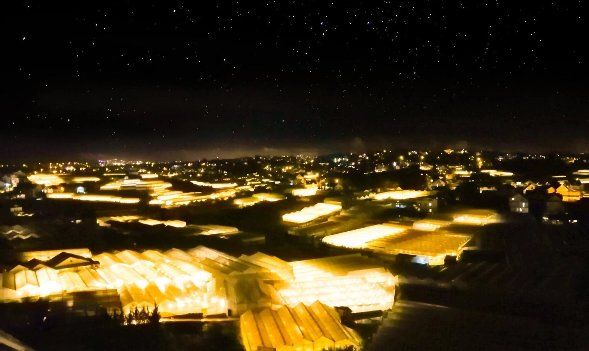 Night in Ladalat Hotel