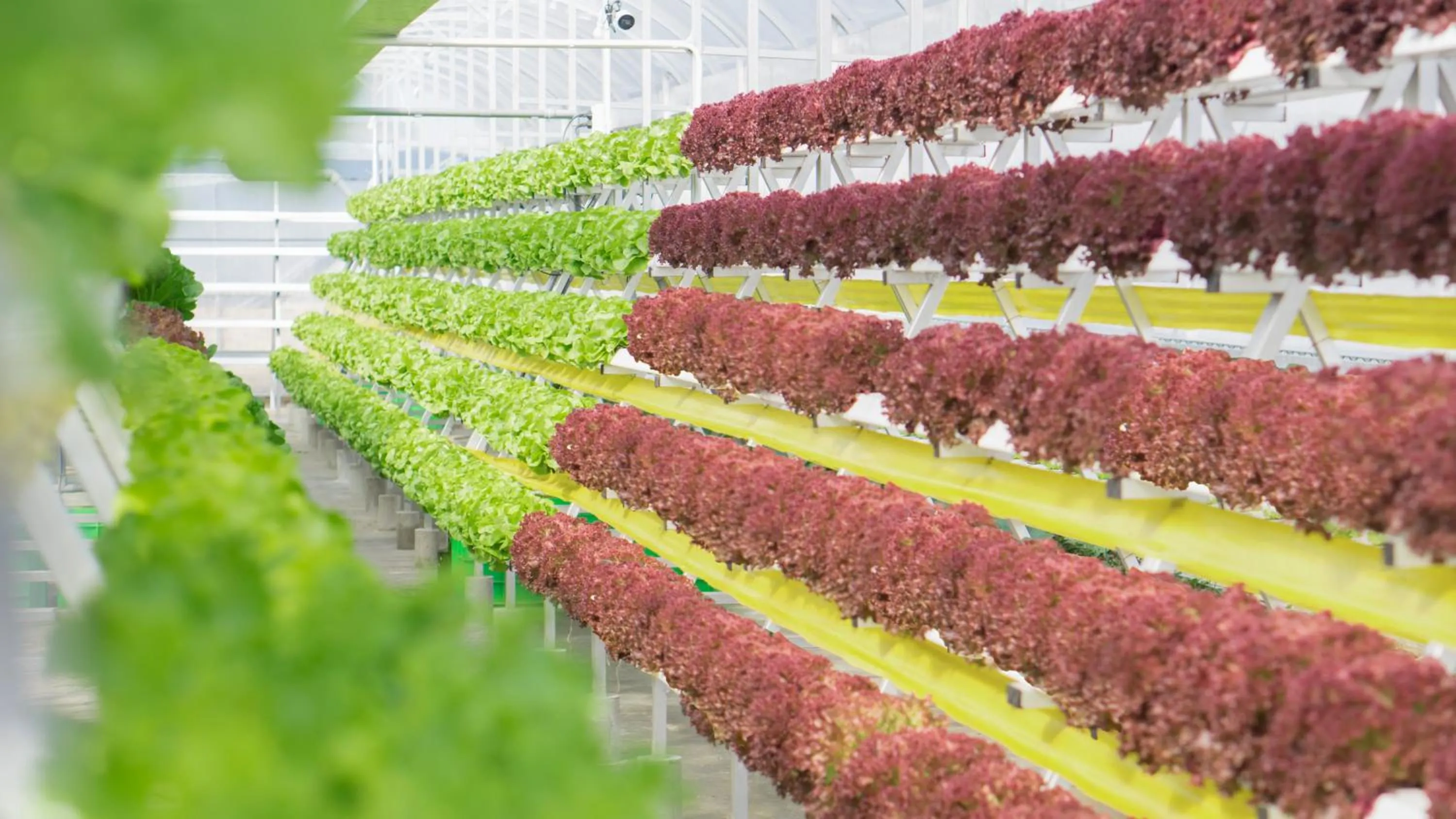 Day in Ladalat Hotel