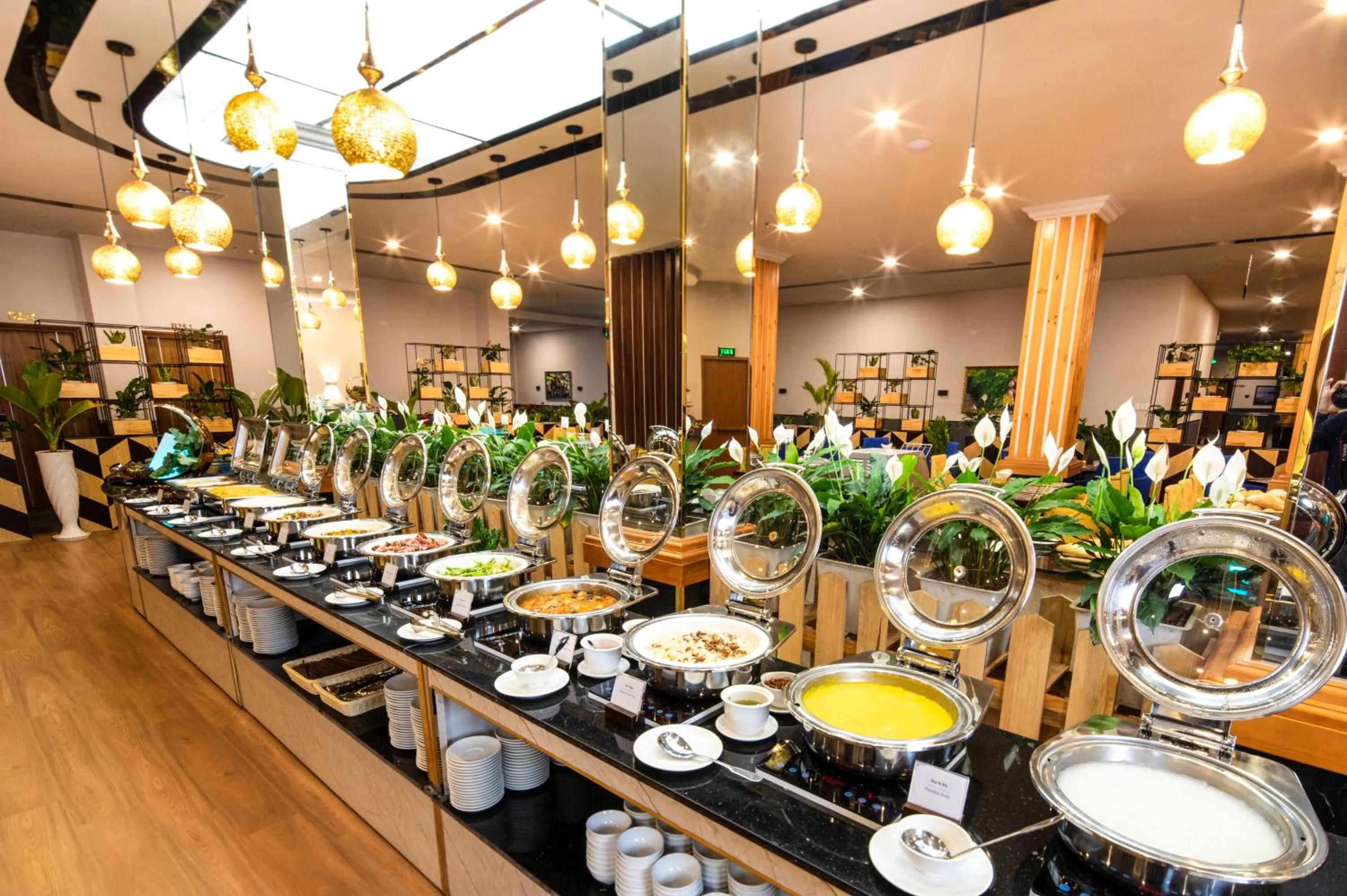 Restaurant/places to eat in Ladalat Hotel