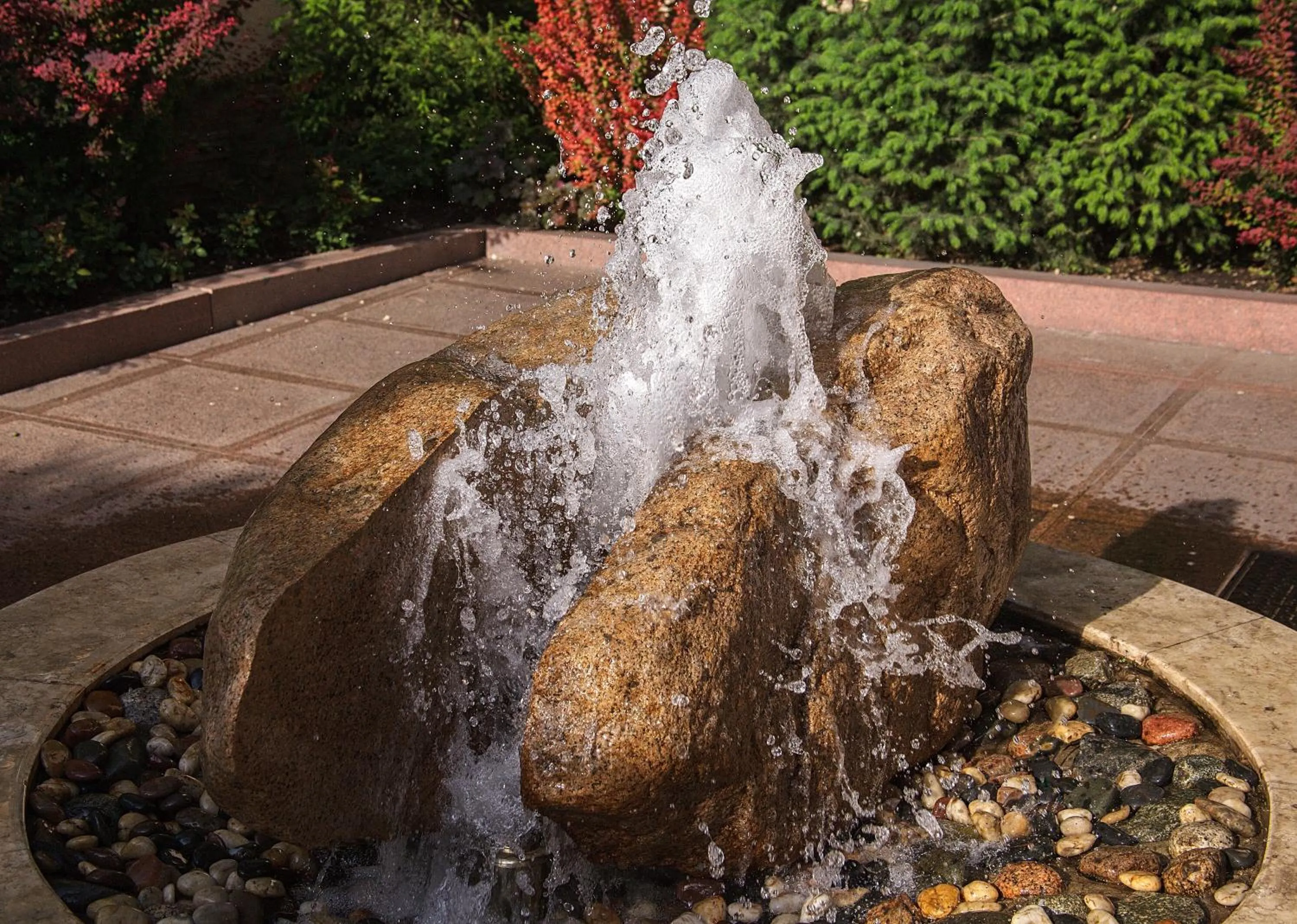 Area and facilities in Voyage Hotel