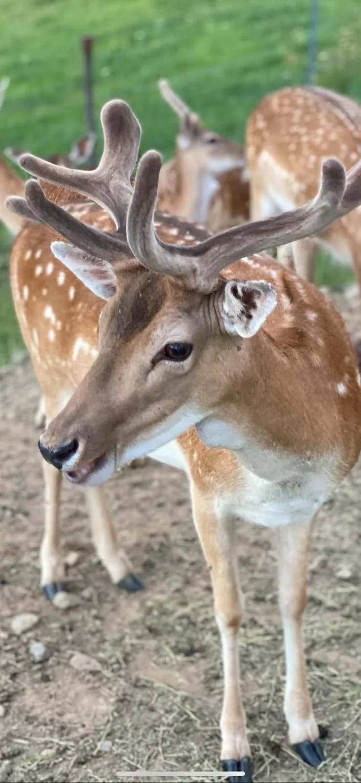 Garden in Landgasthof Zur Erholung