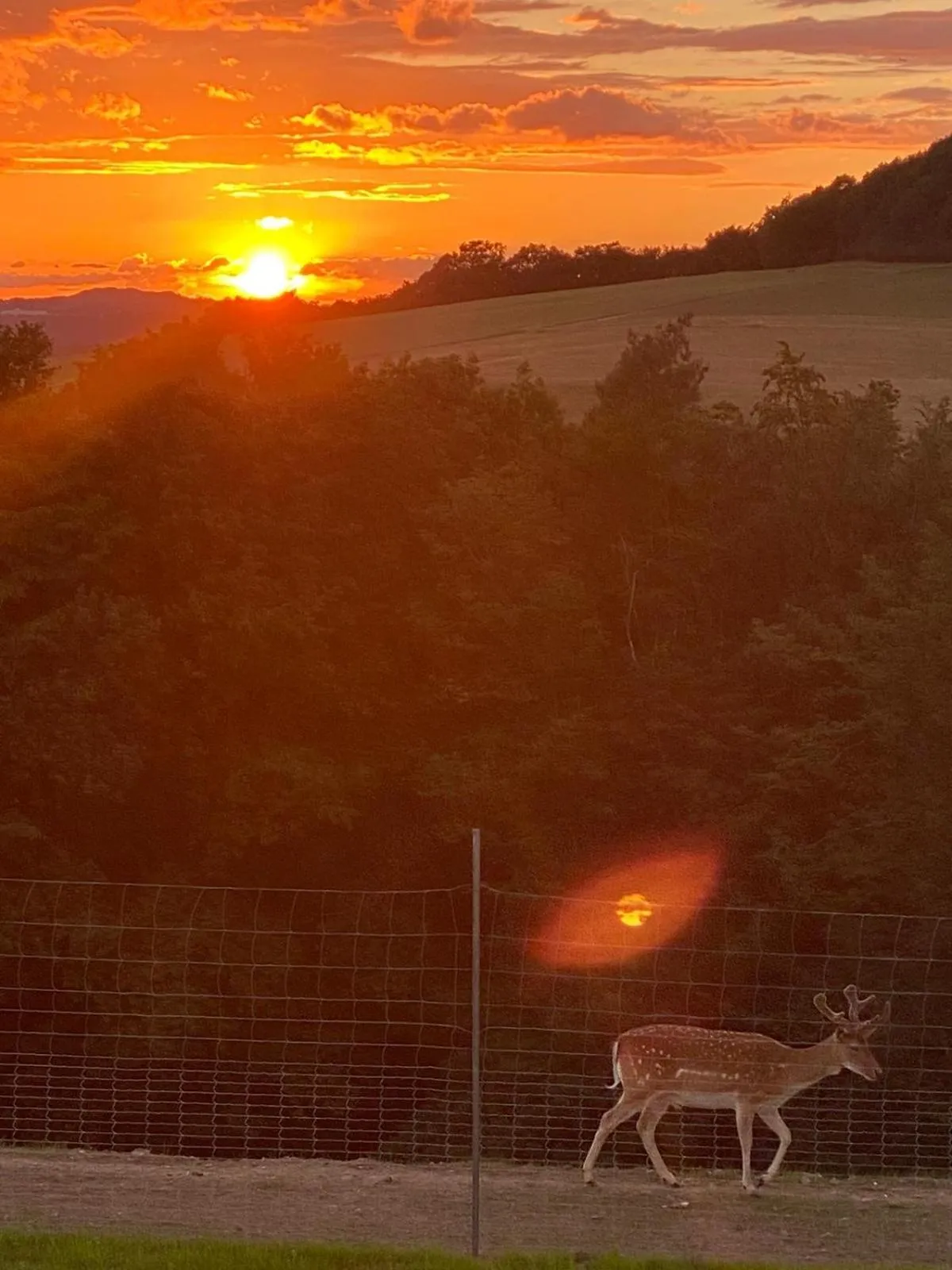Natural landscape in Landgasthof Zur Erholung