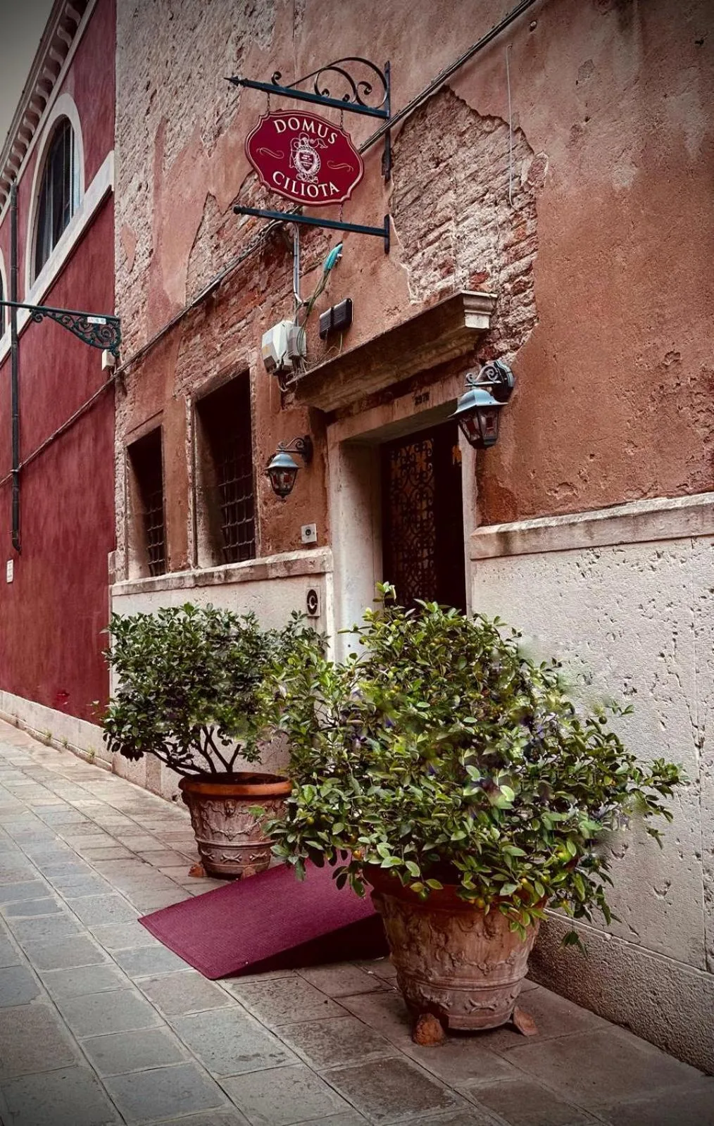 Domus Ciliota