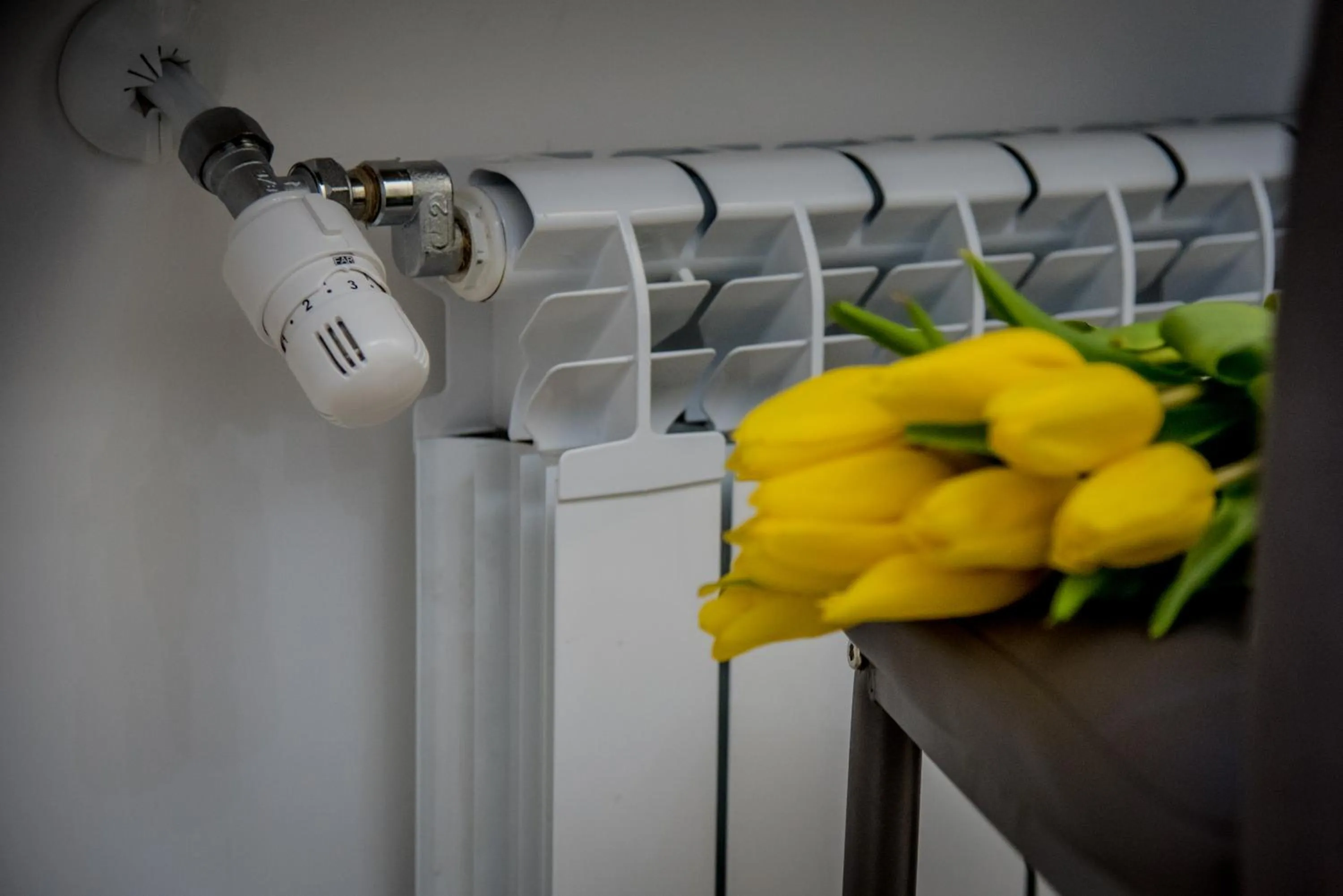 heating in Inside Roma Rooms