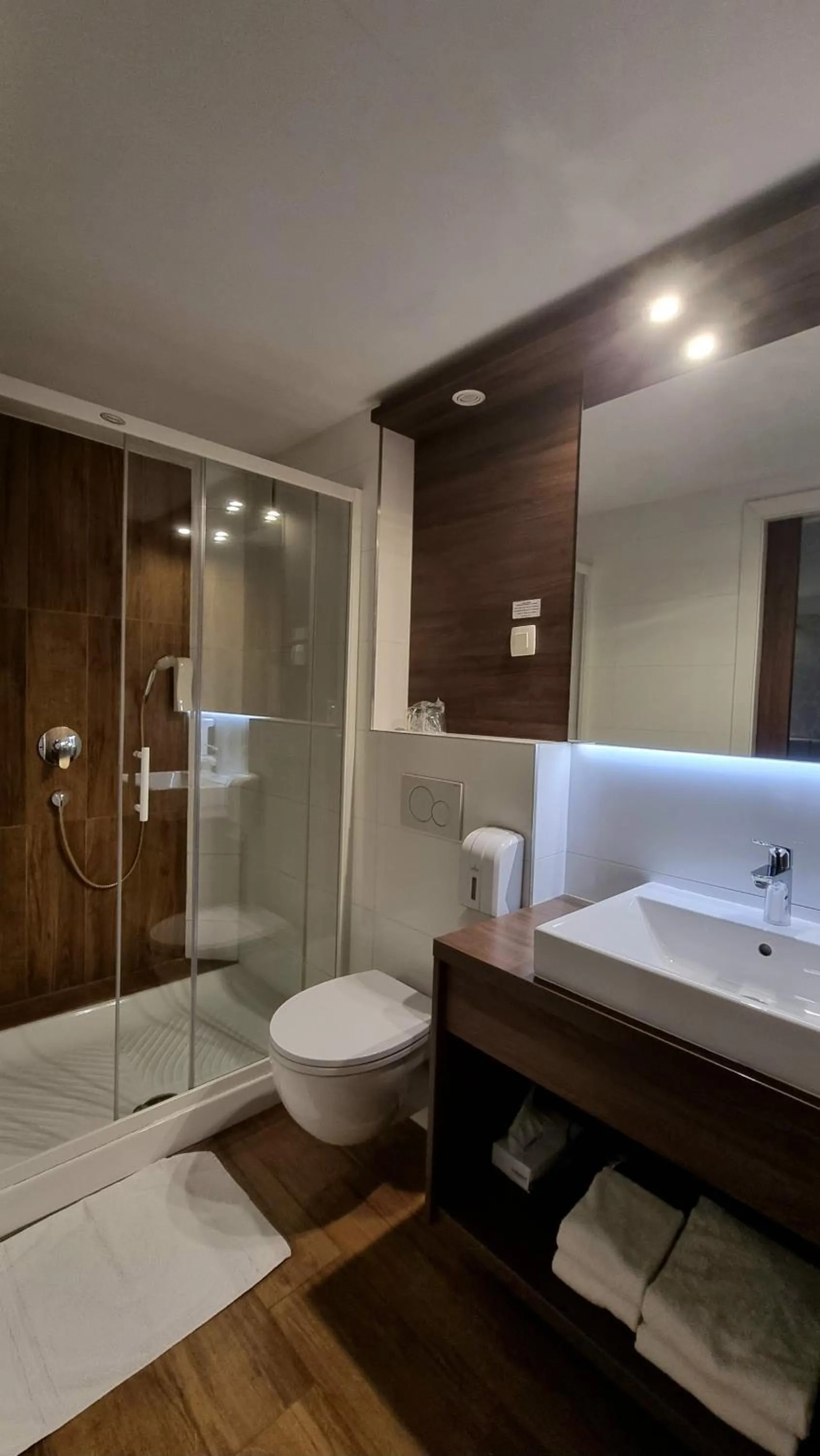 Bathroom in Hotel Emonec