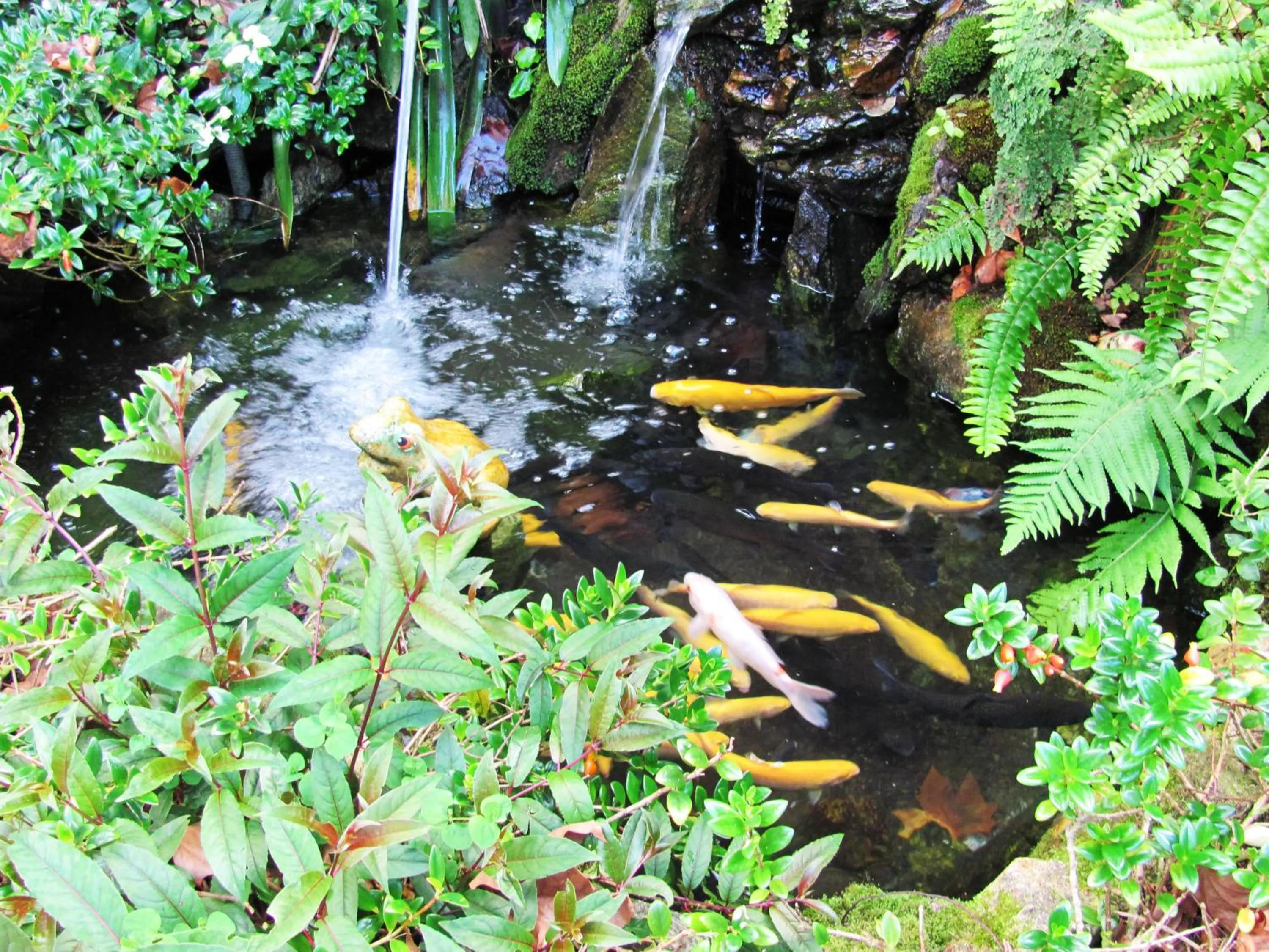Garden in Hotel Palazzo Reale