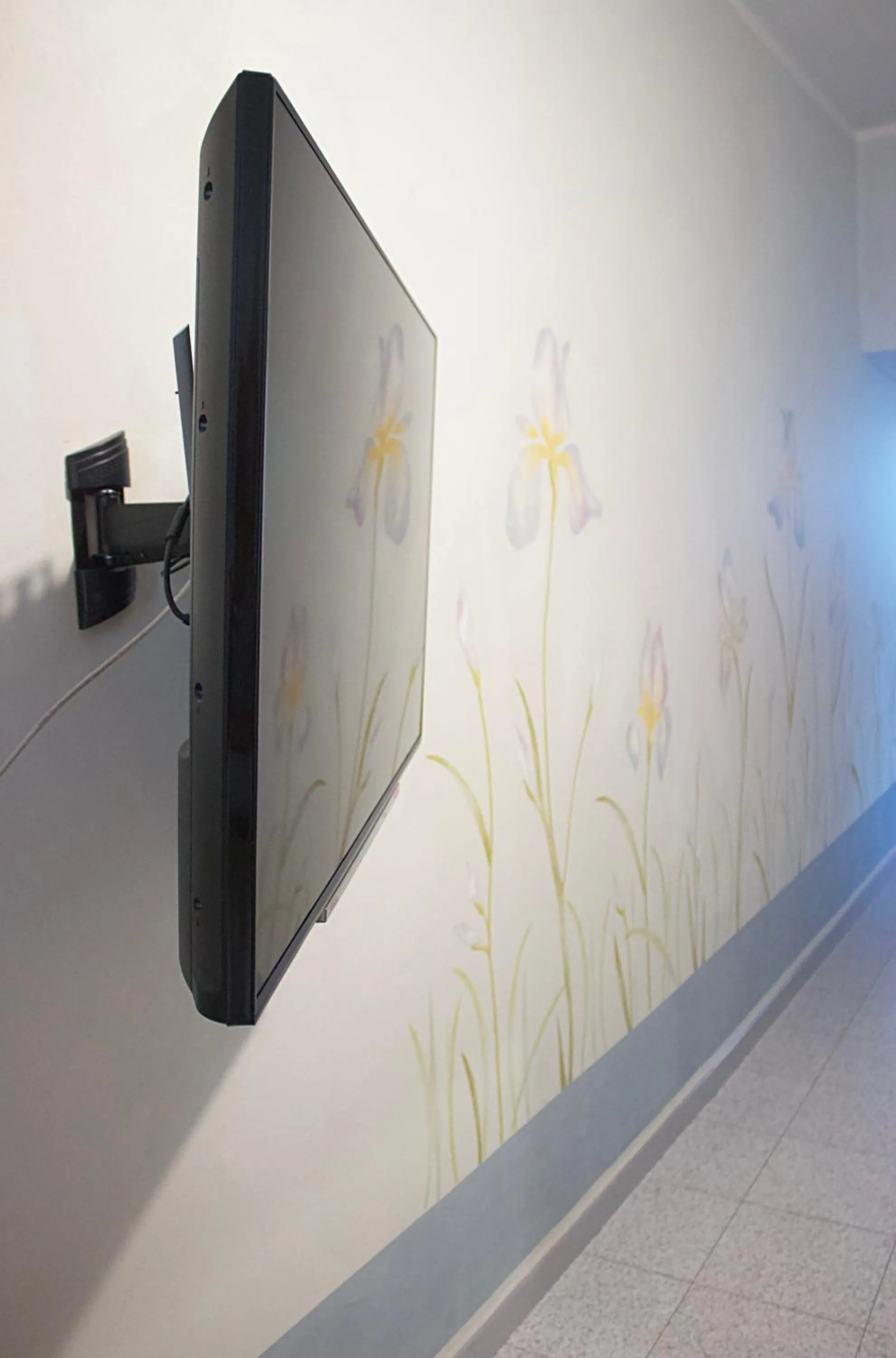 TV and multimedia in Albergo Giulia Gonzaga