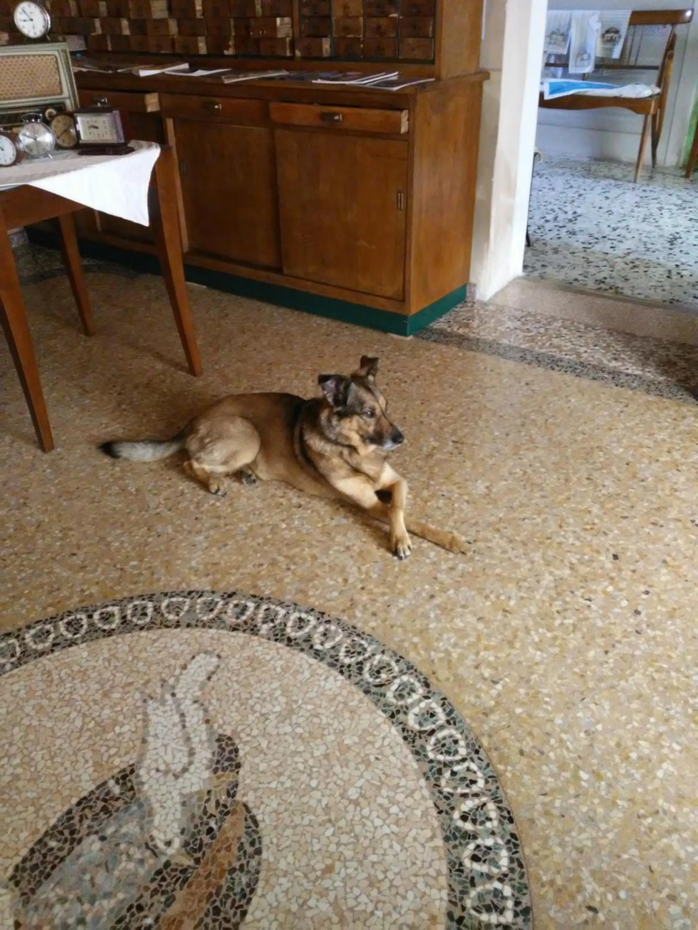 Decorative detail in Albergo Giulia Gonzaga