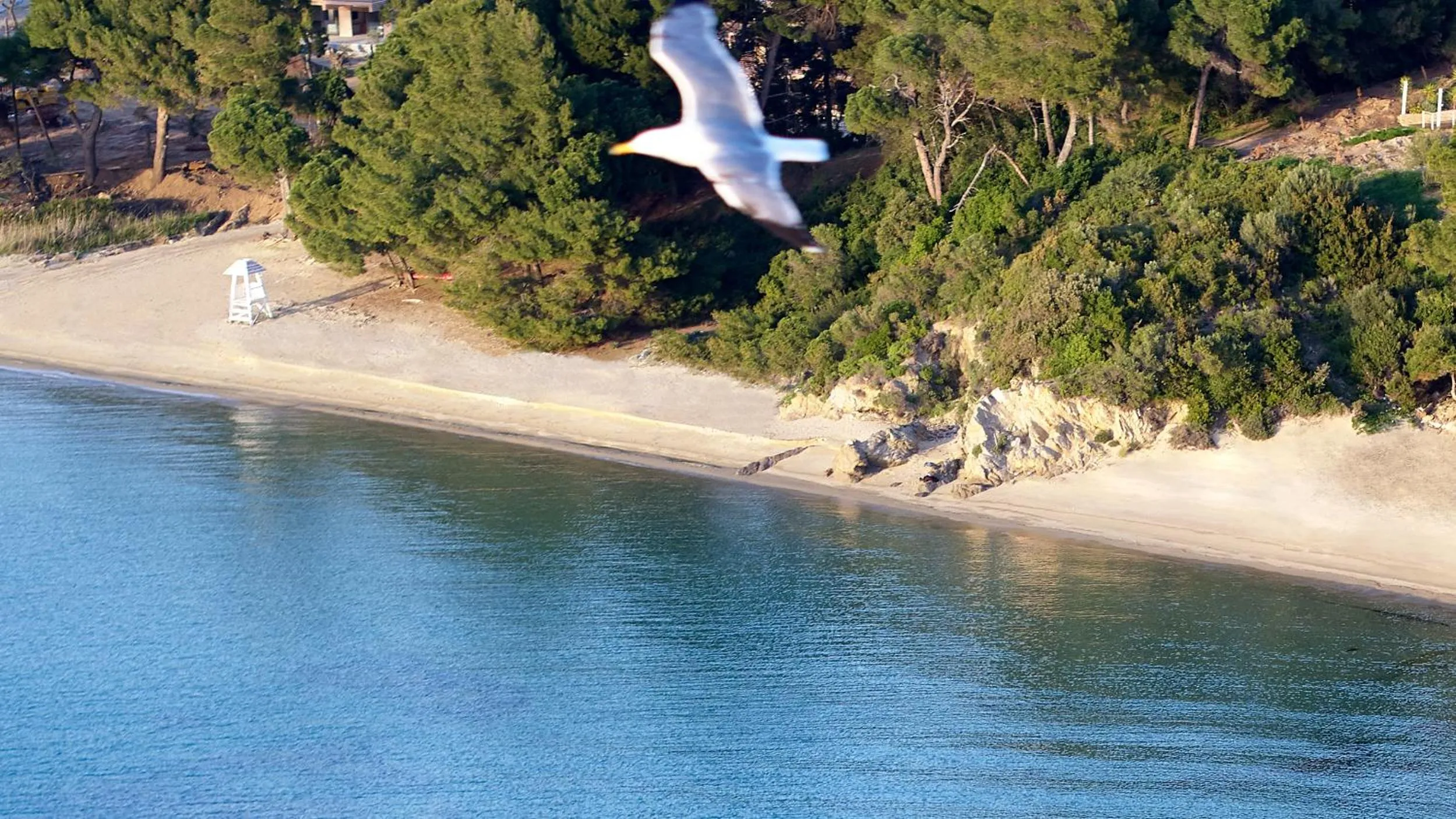 Natural landscape in ELIVI Skiathos