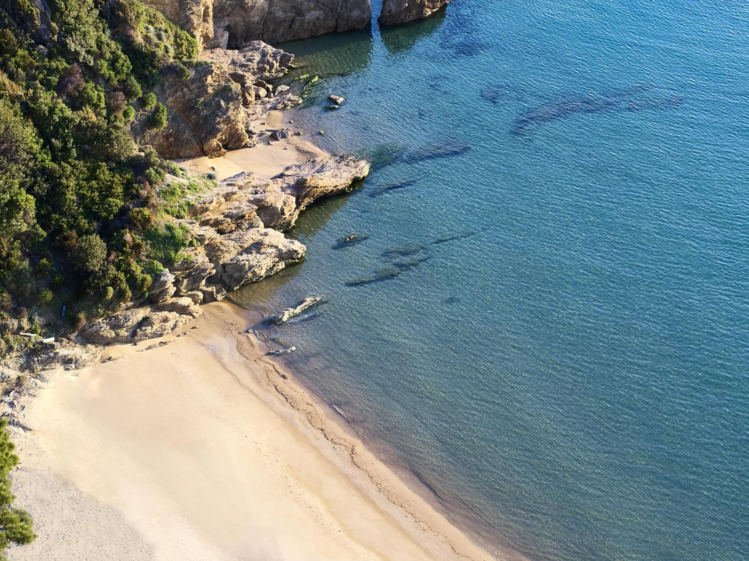 Beach in ELIVI Skiathos
