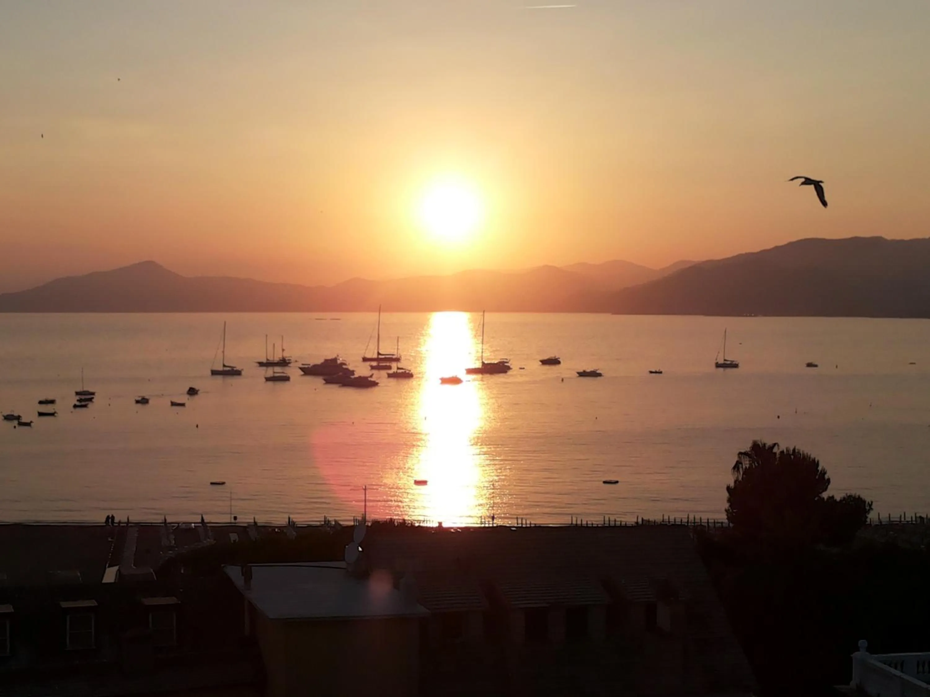 Area and facilities in Grand Hotel Villa Balbi