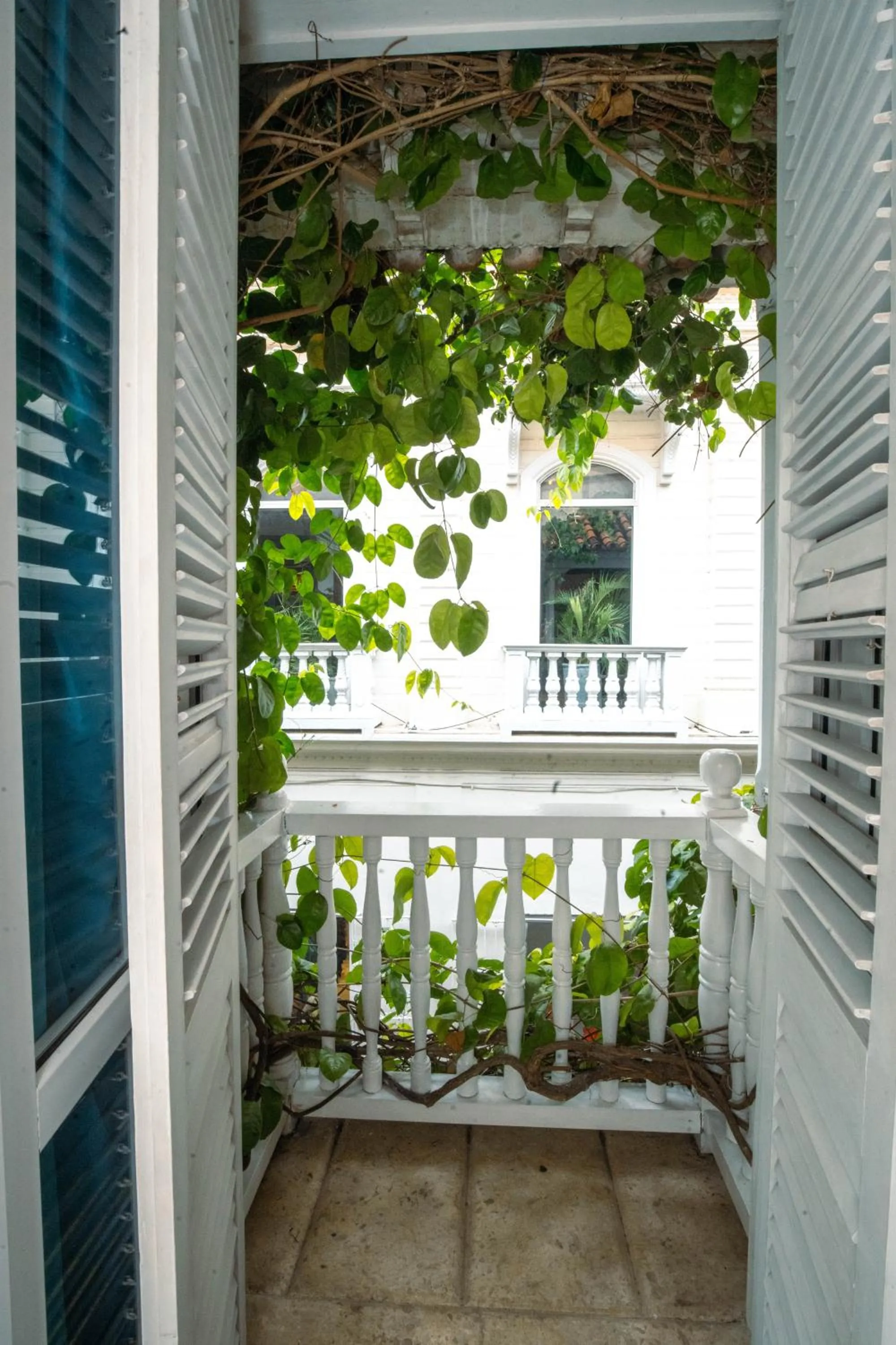 Balcony/Terrace in Hotel Aguamarina Boutique