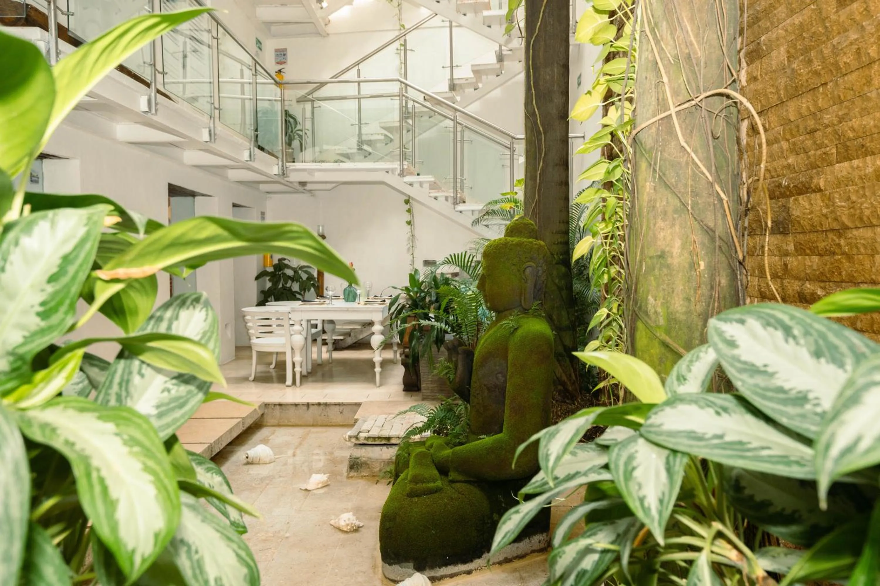 Patio in Hotel Aguamarina Boutique