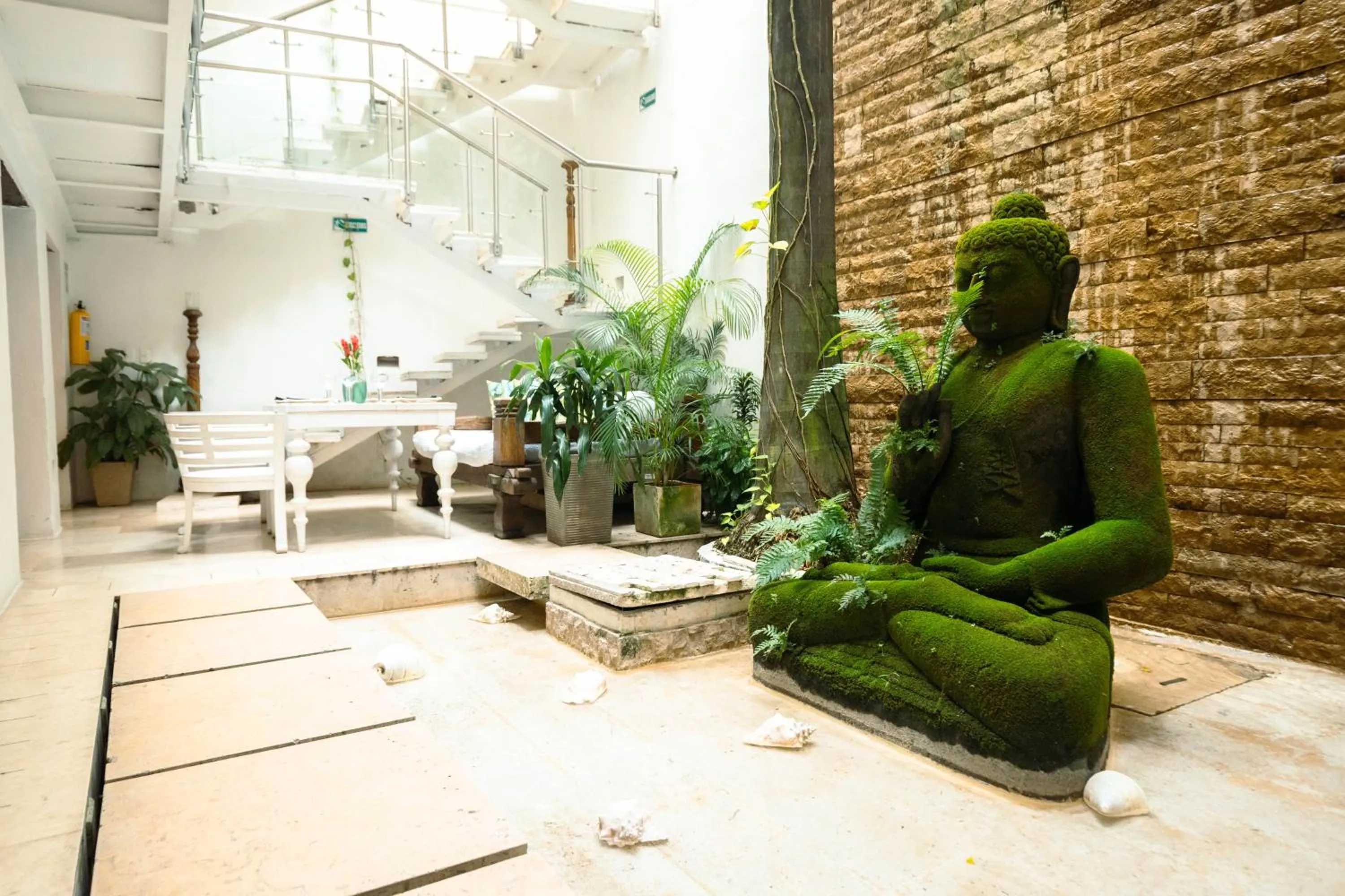 Patio in Hotel Aguamarina Boutique