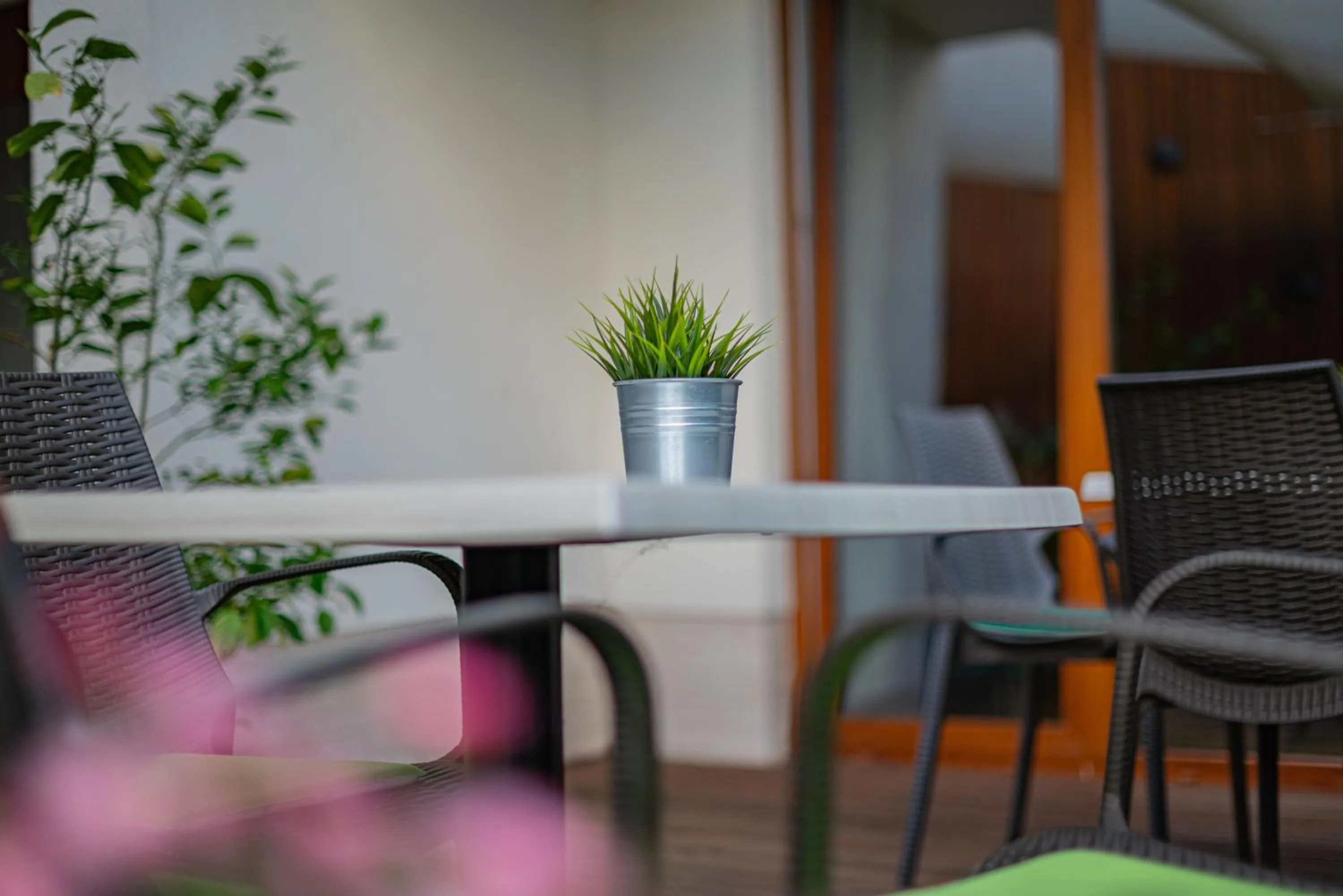 Restaurant/places to eat in Hotel Bonvino Badacsony