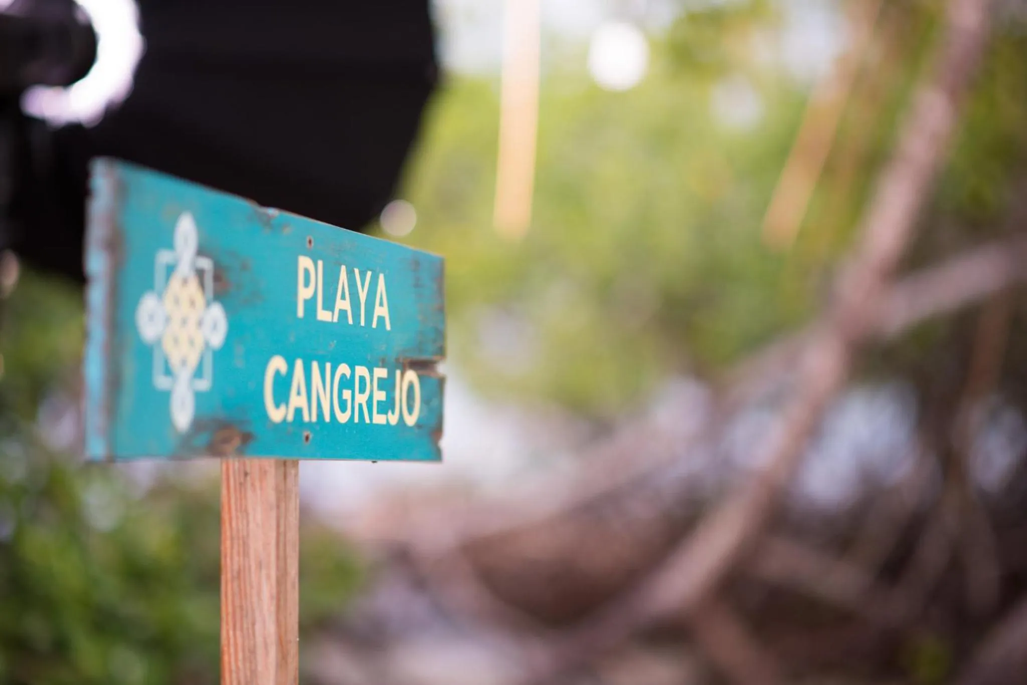 Beach in Aura Hotel Barú