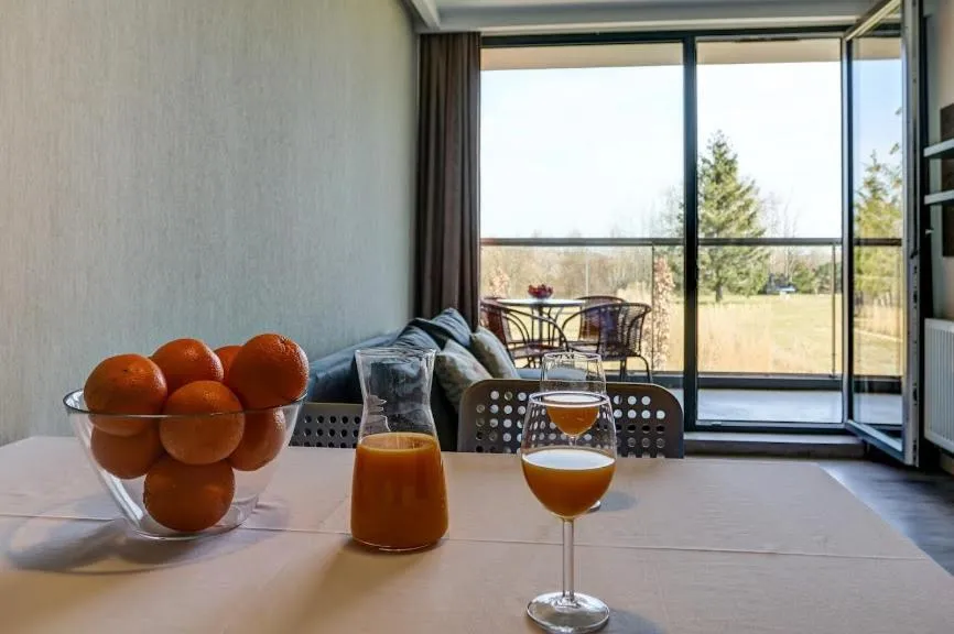 Living room in Sea Power Residence Jastrzębia Góra