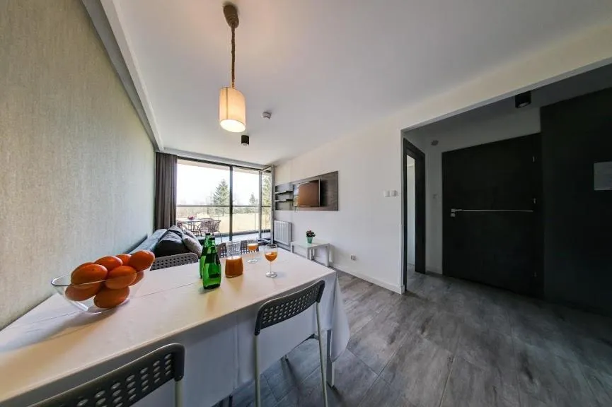 Kitchen or kitchenette in Sea Power Residence Jastrzębia Góra