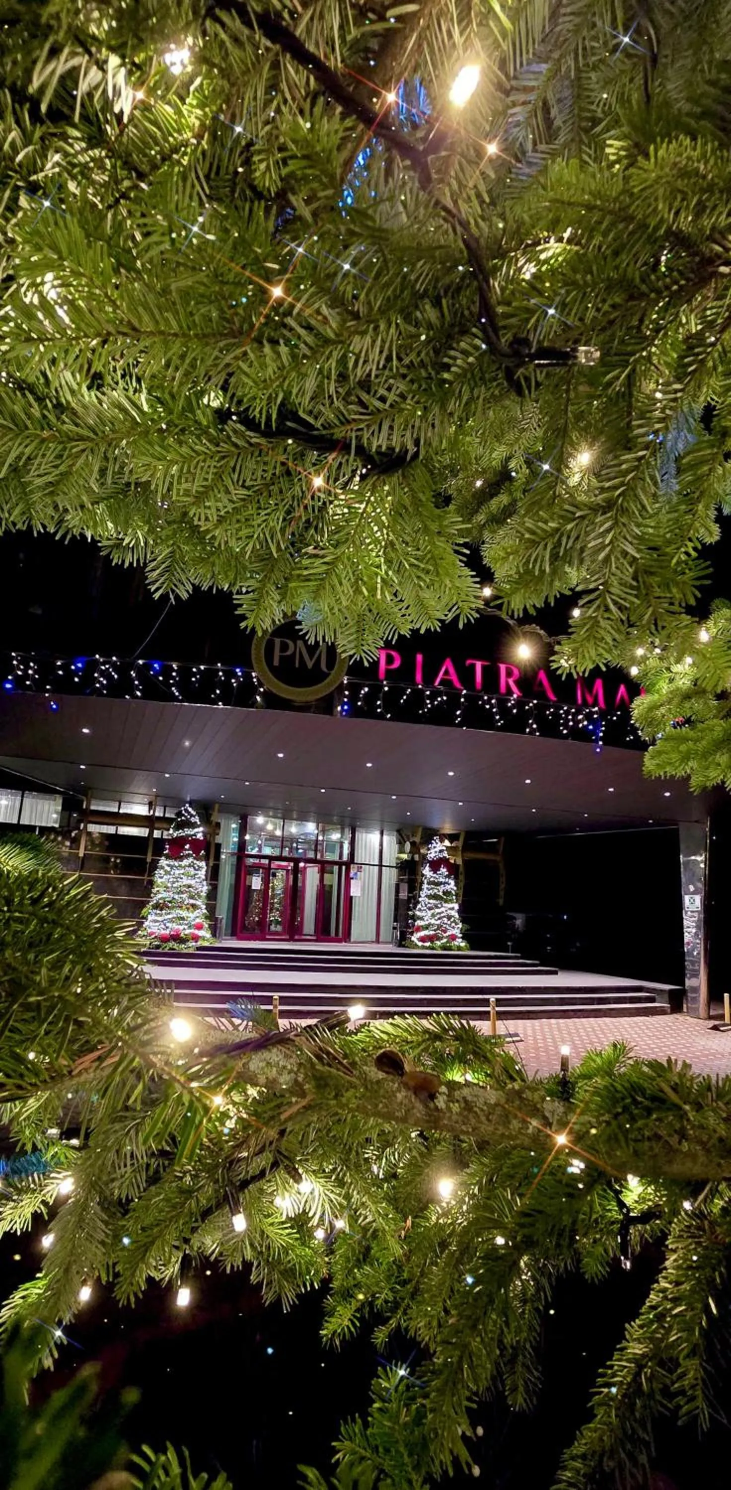 Decorative detail in Hotel Piatra Mare