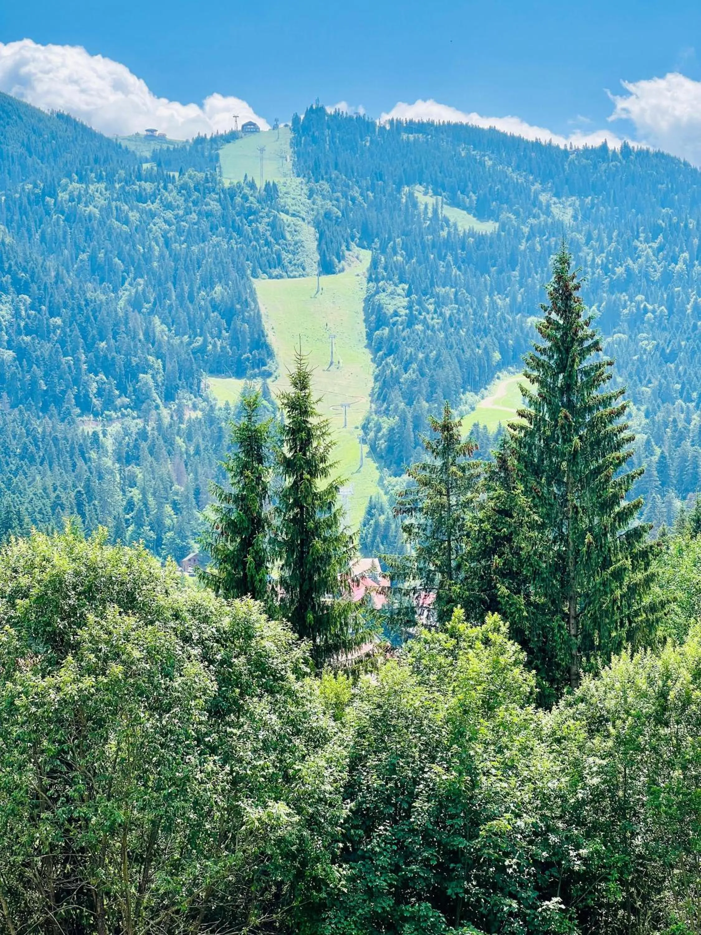 View (from property/room) in Hotel Piatra Mare