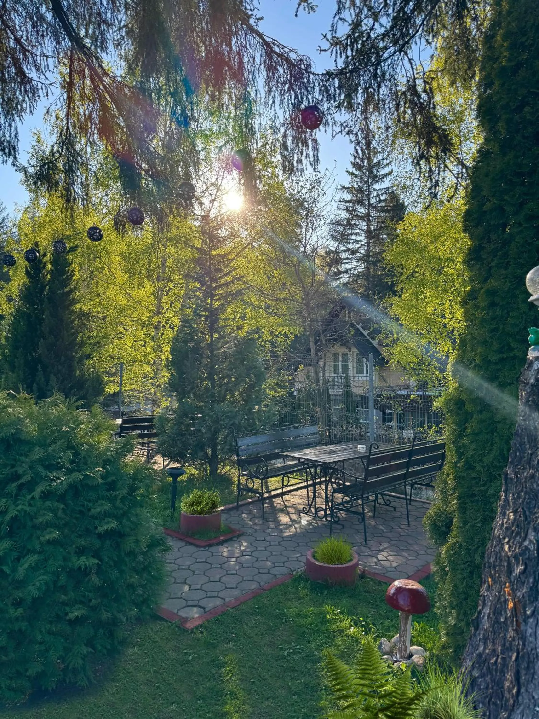 Seating area in Hotel Piatra Mare