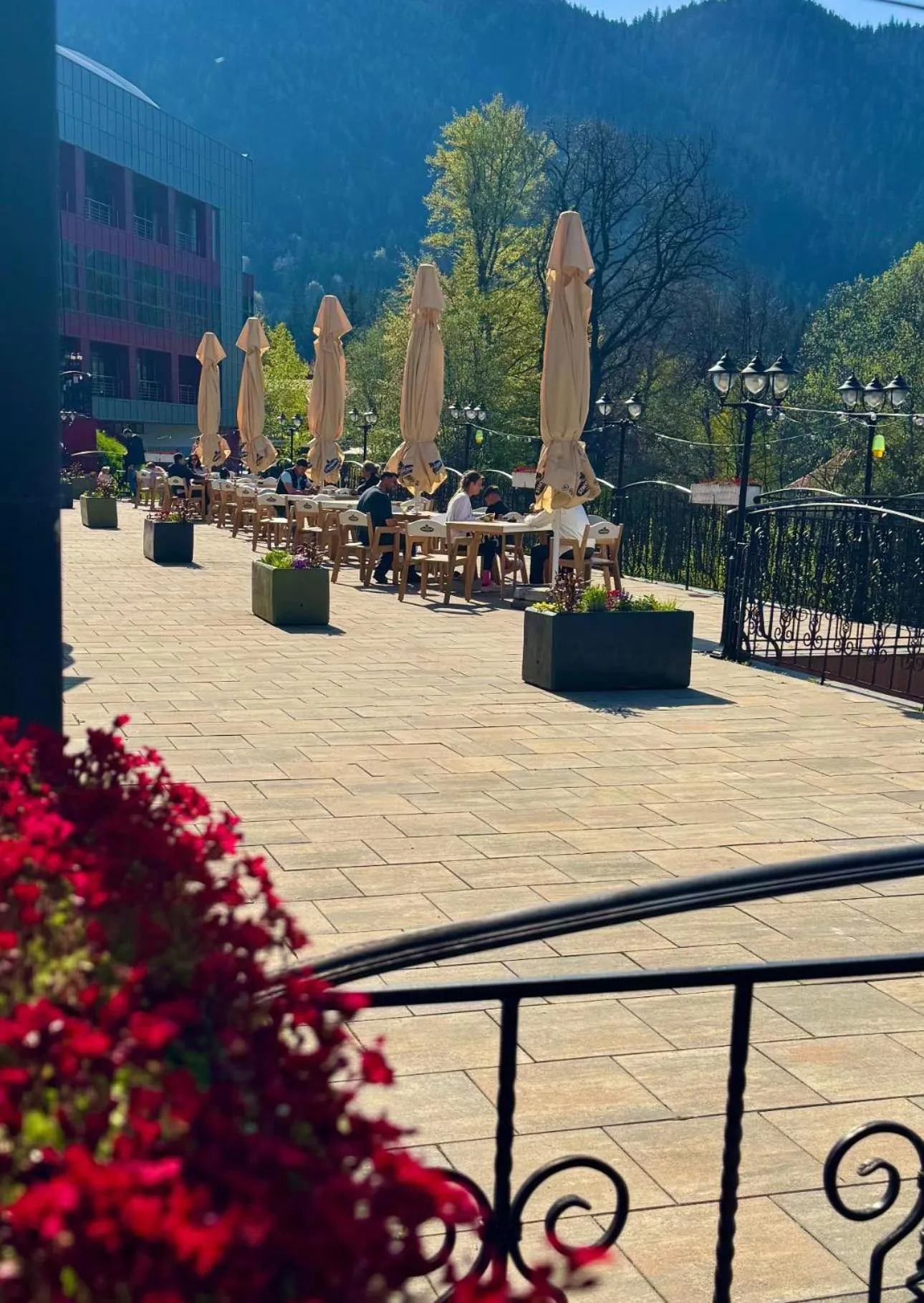 Balcony/Terrace in Hotel Piatra Mare
