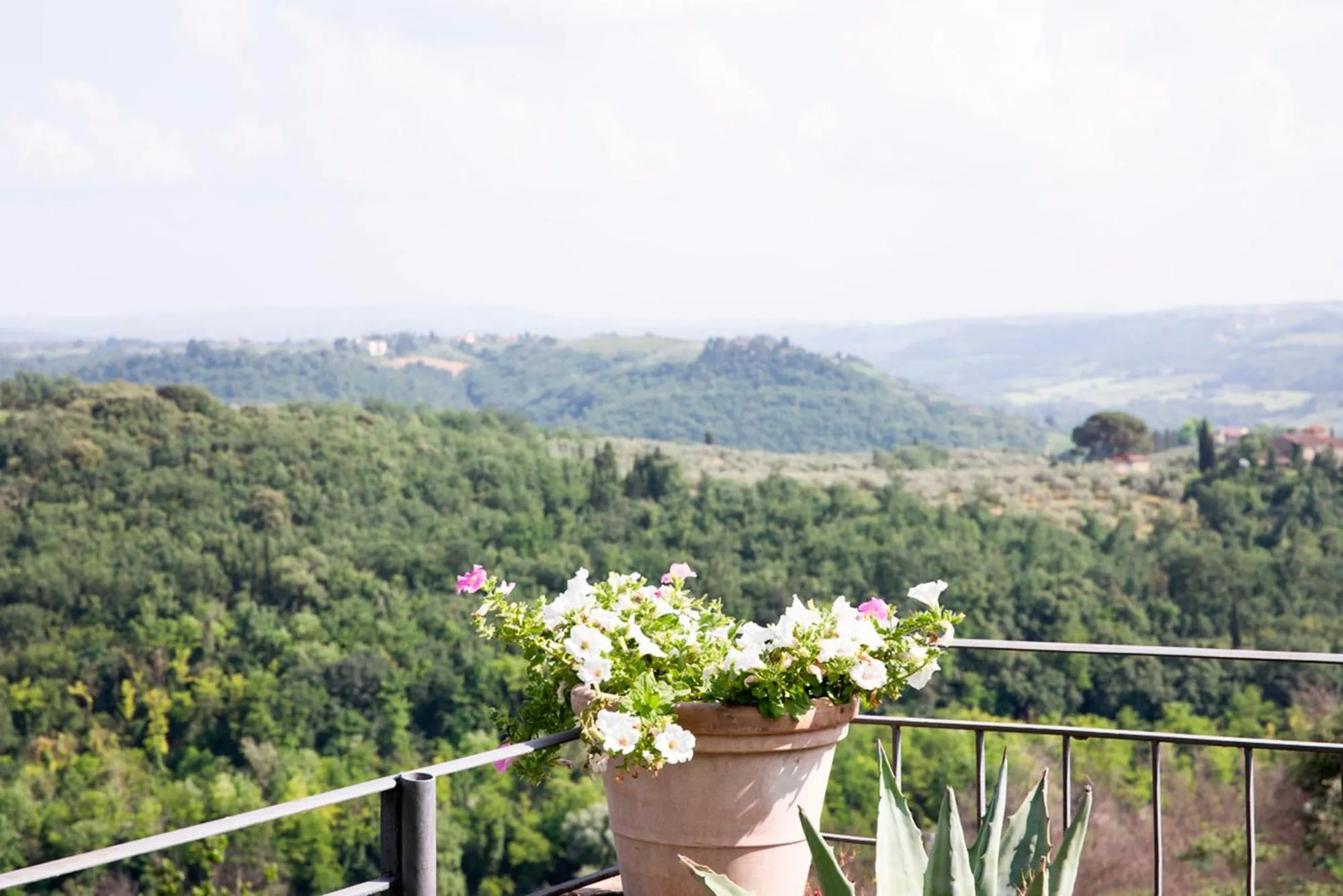 View (from property/room) in Villa Il Fedino