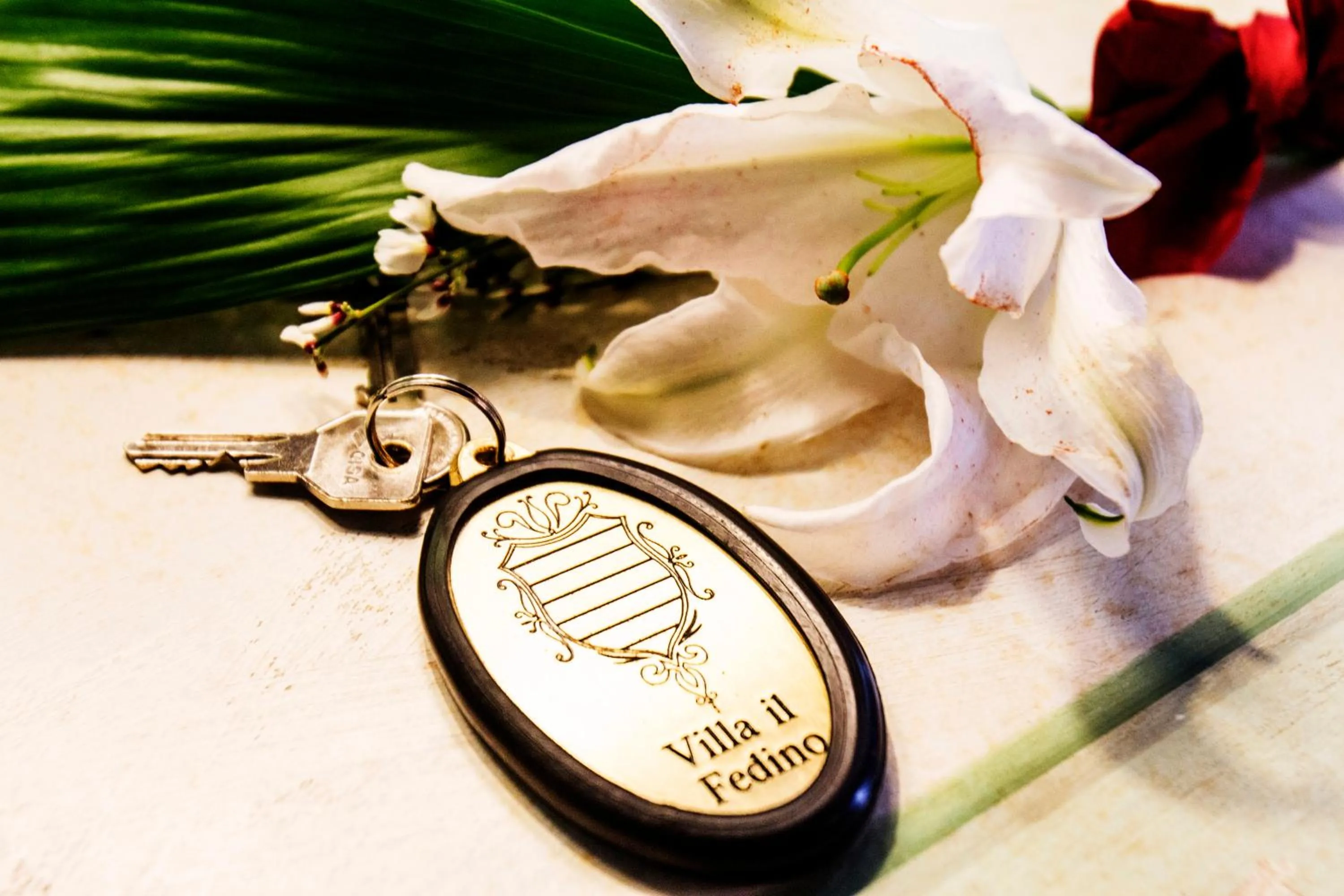 Decorative detail in Villa Il Fedino