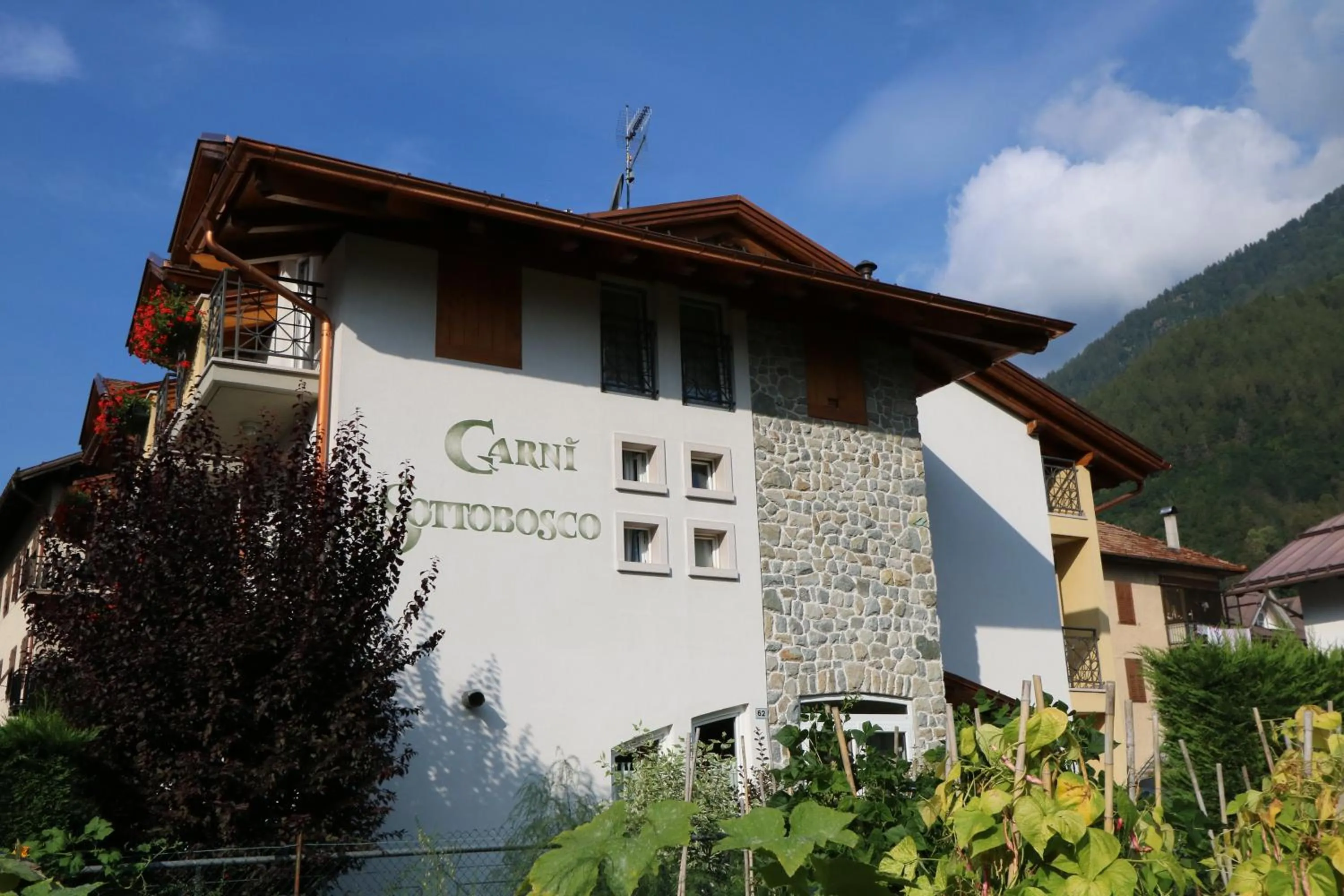 Property building in Hotel Garni Sottobosco