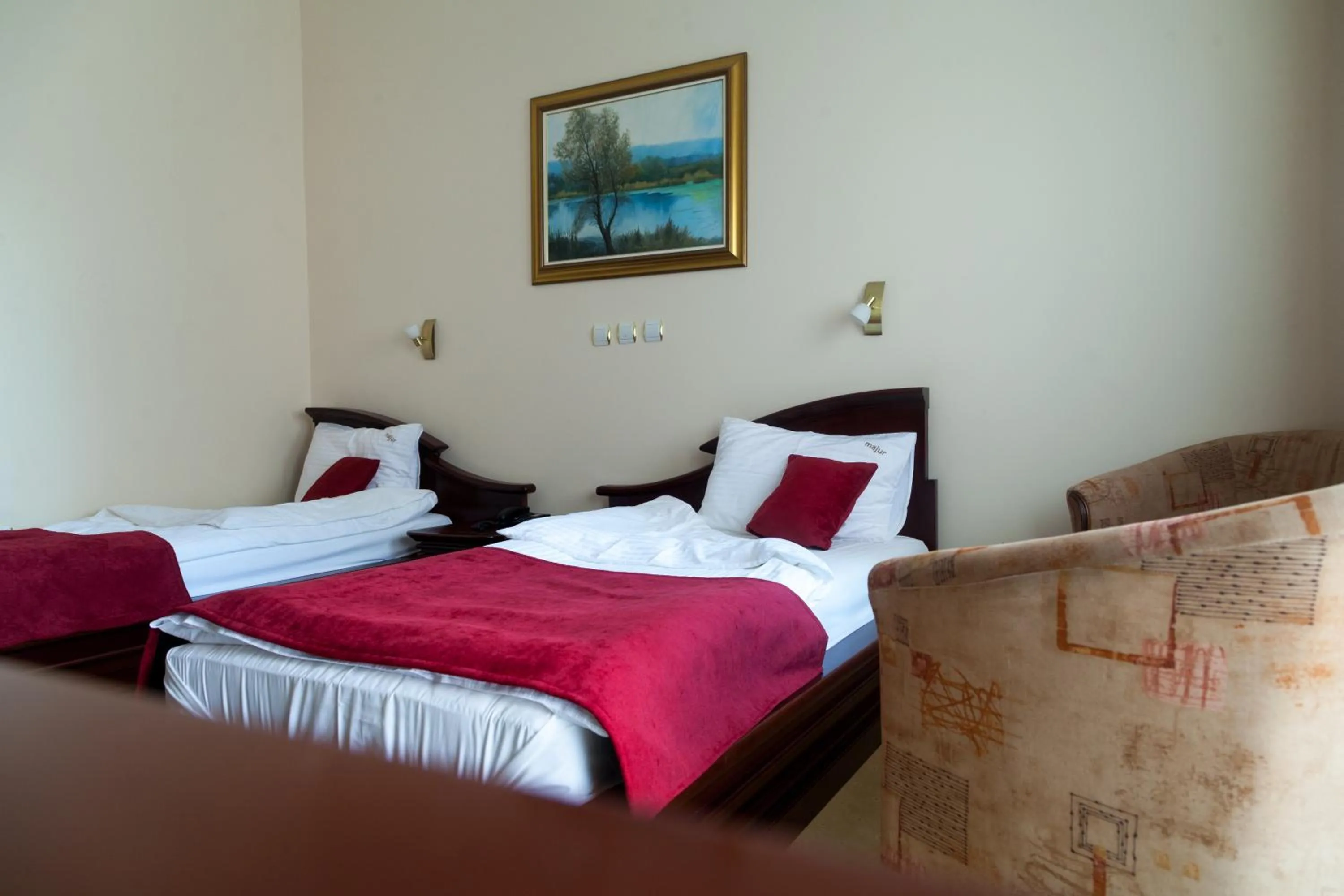 Twin Room - single occupancy in Hotel Villa Majur