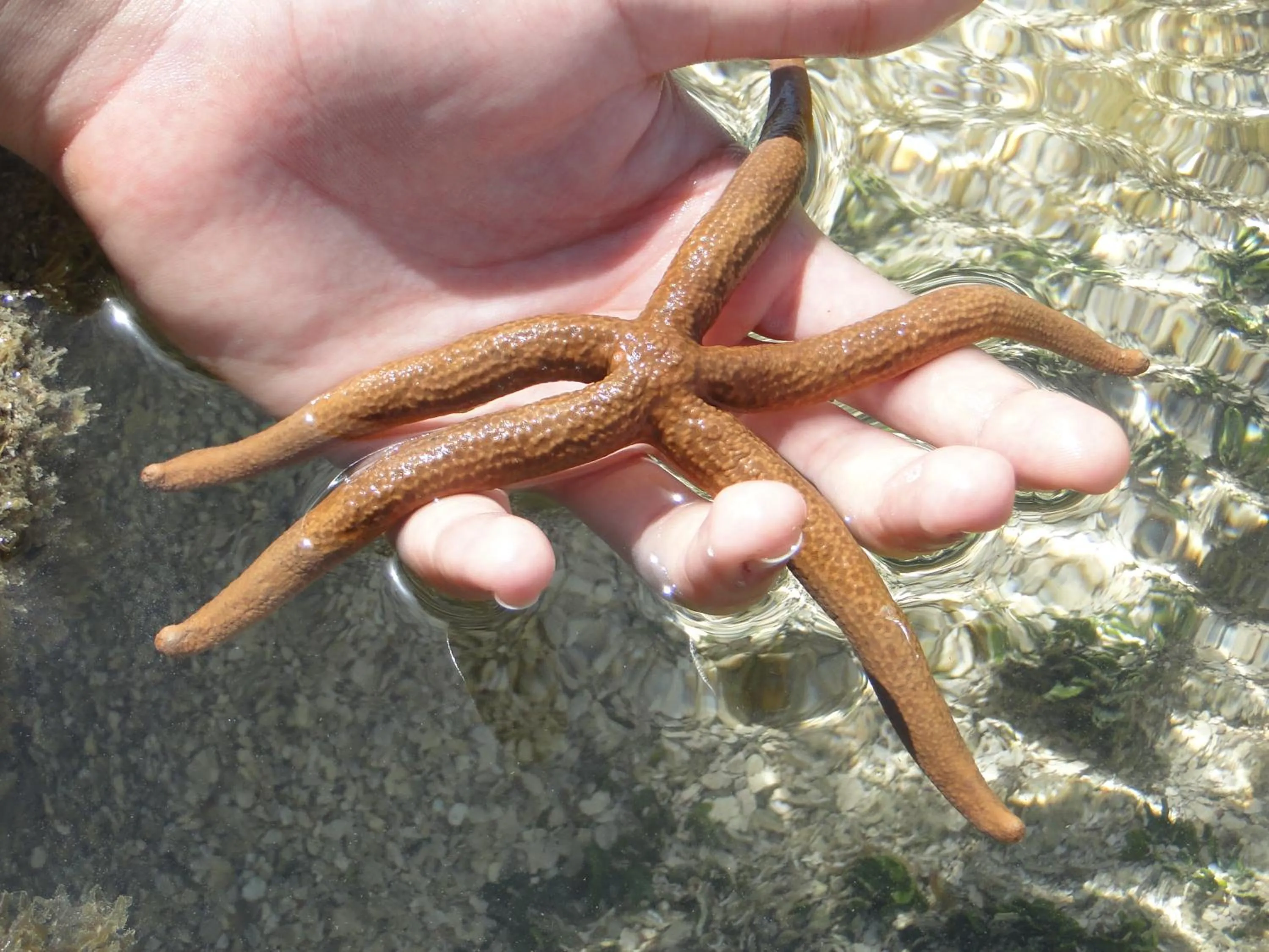 Nearby landmark in Hotel Pousada Arco Iris