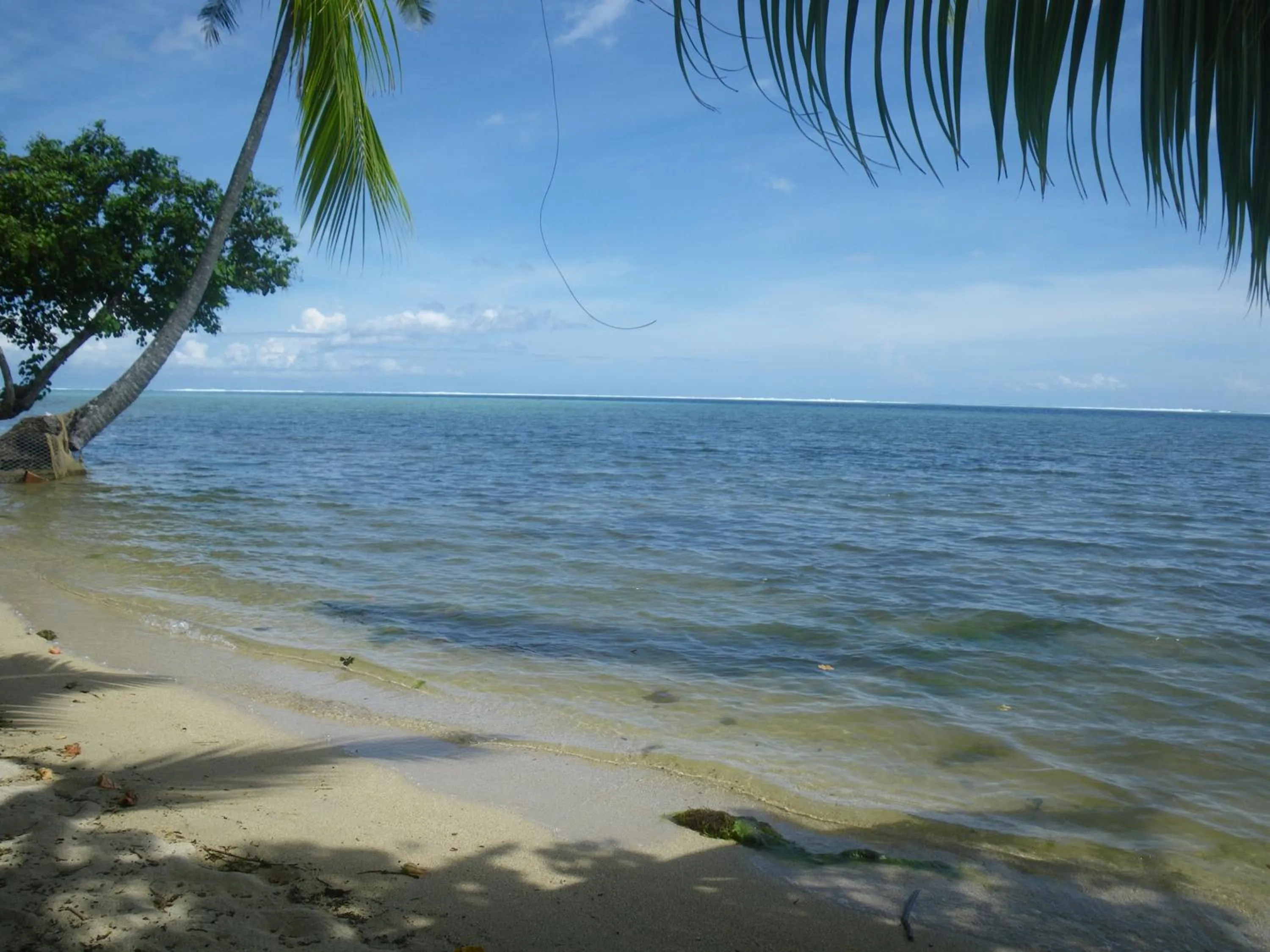 Beach in JUSTMOOREA Location Haapiti